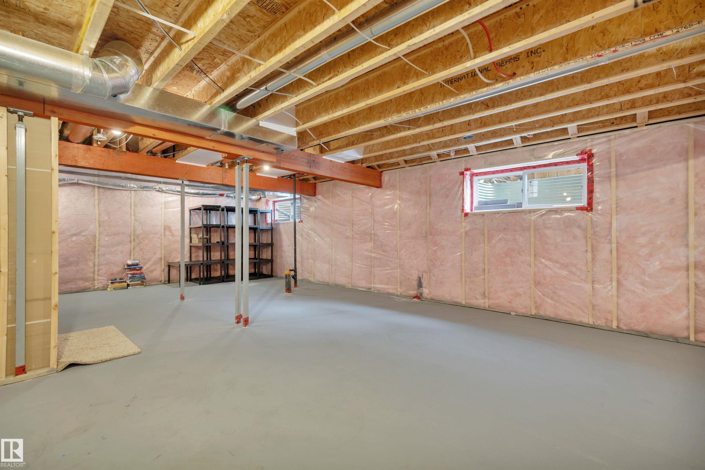 15807 18 Avenue, Edmonton, AB - Indoor Photo Showing Basement