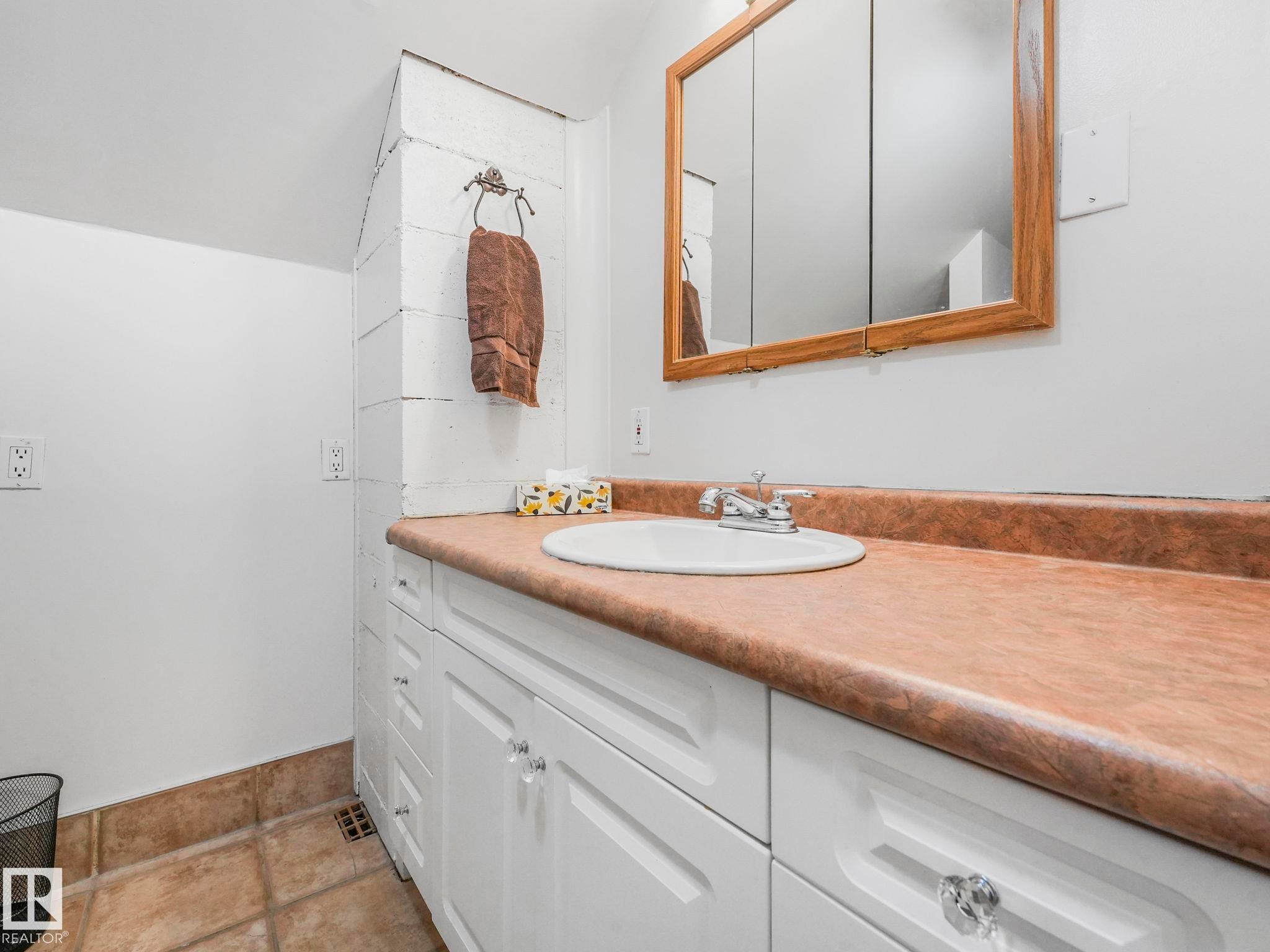 10727 66 Avenue, Edmonton, AB - Indoor Photo Showing Bathroom