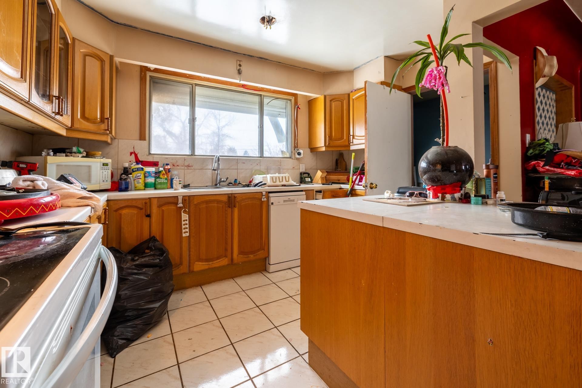 9704 76 Street, Edmonton, AB - Indoor Photo Showing Kitchen