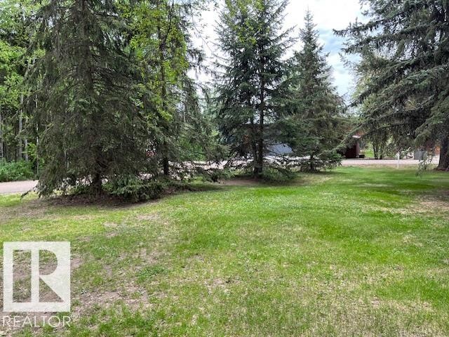 Expansive grass lawn with mature evergreen trees - 1040 &1040 A&B Mitchell Beach Beach, Rural Leduc County, AB