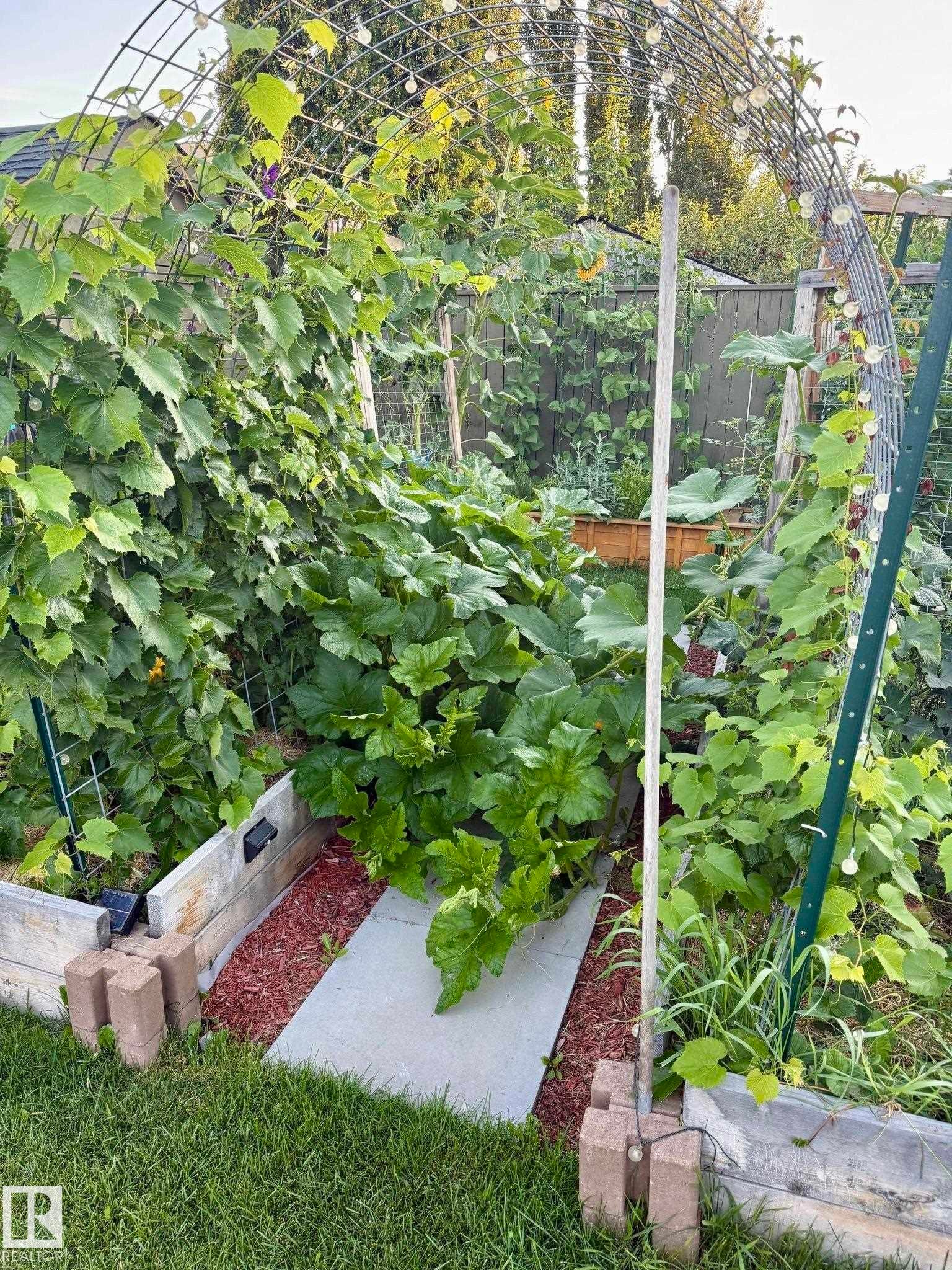 The property features a garden area with raised beds, a trellis archway, and mature green foliage - 17819 91A Street, Edmonton, AB - Outdoor