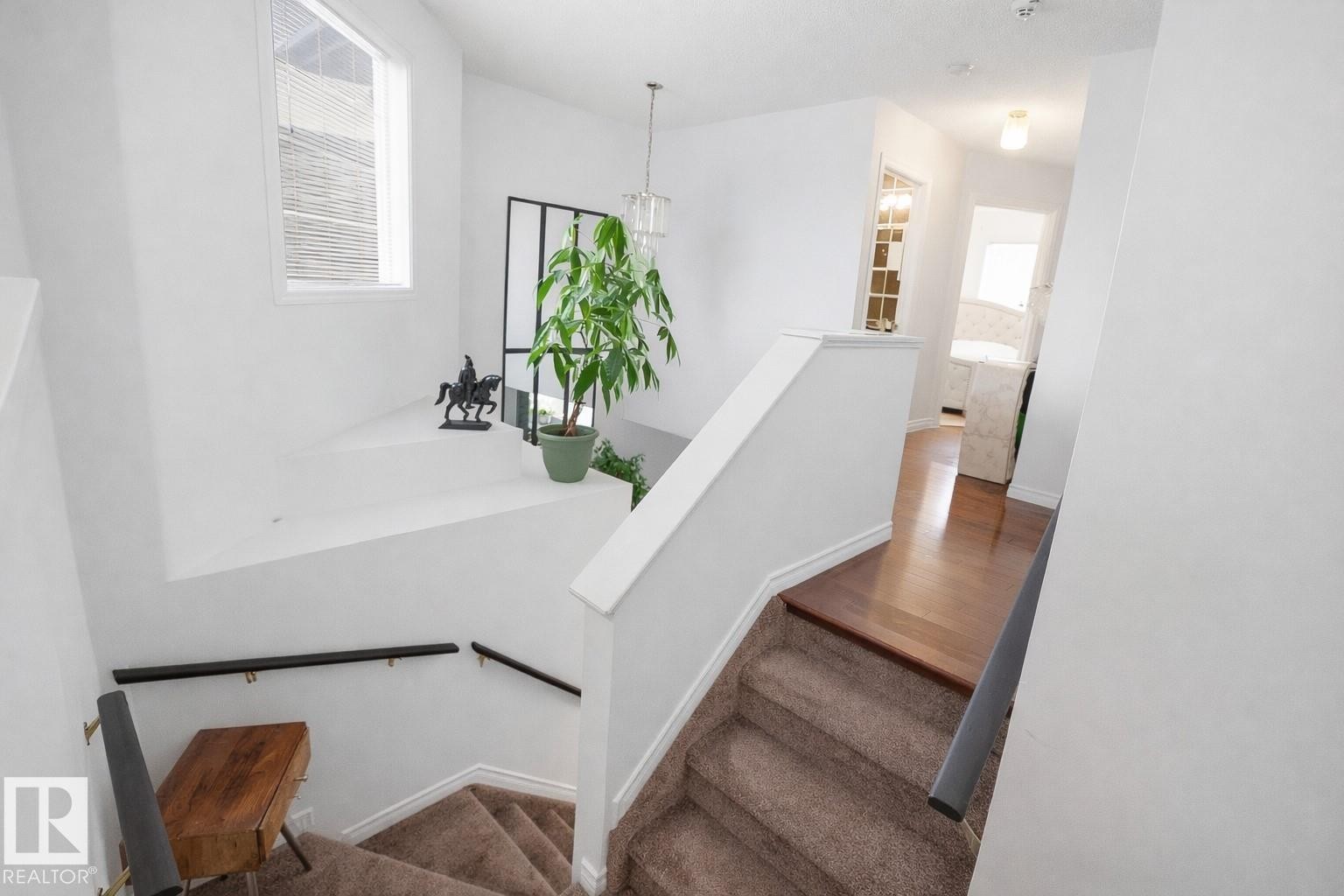 Staircase featuring brown carpeted steps, white railings, and dark handrails - 4619 202 Street, Edmonton, AB - Indoor Photo Showing Other Room