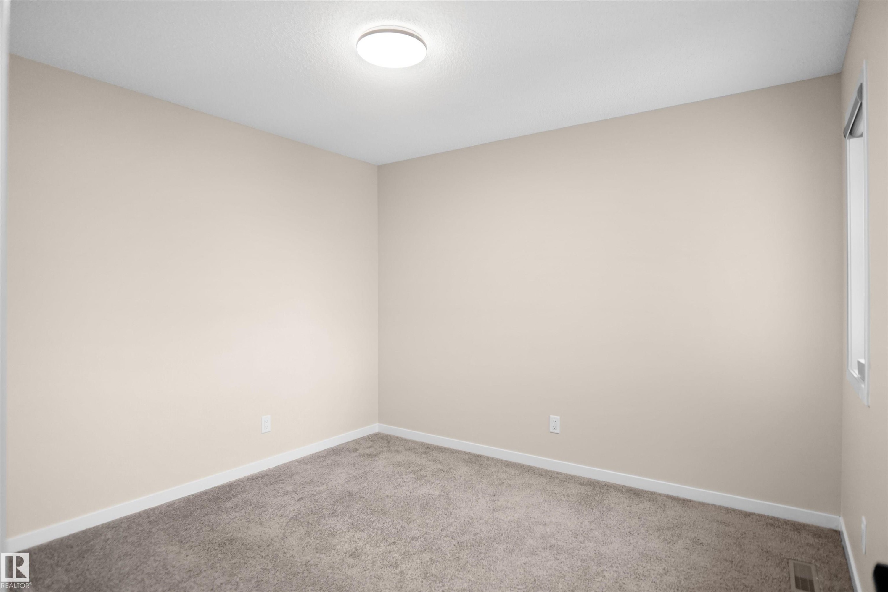 This room features neutral-toned walls, grey carpeting, white trim, and a ceiling-mounted light fixture - Edmonton, AB - Indoor Photo Showing Other Room