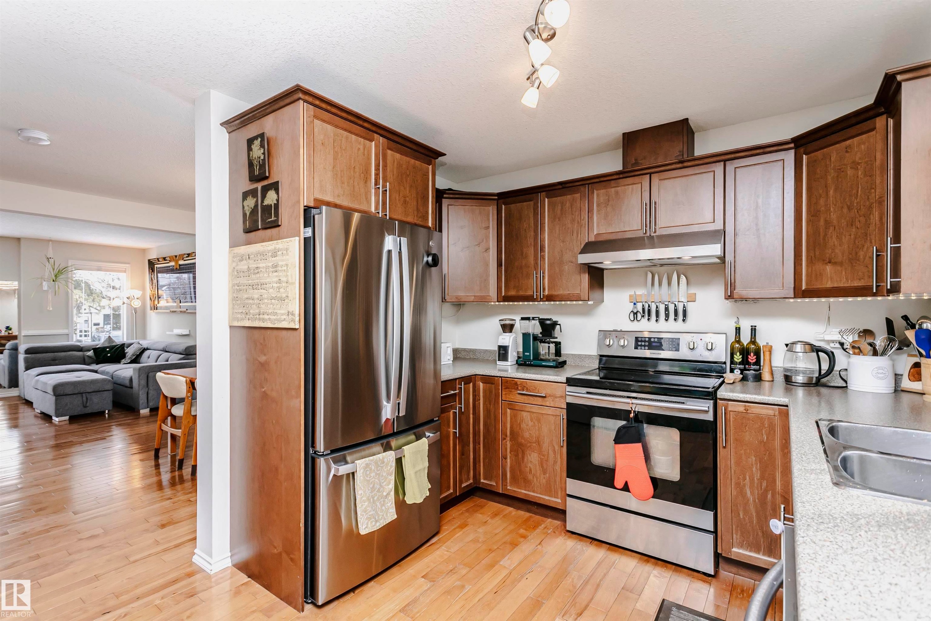 9359 74 Avenue, Edmonton, AB - Indoor Photo Showing Kitchen With Stainless Steel Kitchen With Double Sink