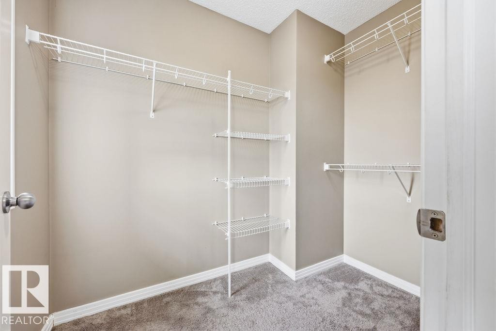 This room features light grey carpeting and walls, a spacious window, and a ceiling light fixture - 7873 170A Avenue, Edmonton, AB - Indoor Photo Showing Other Room