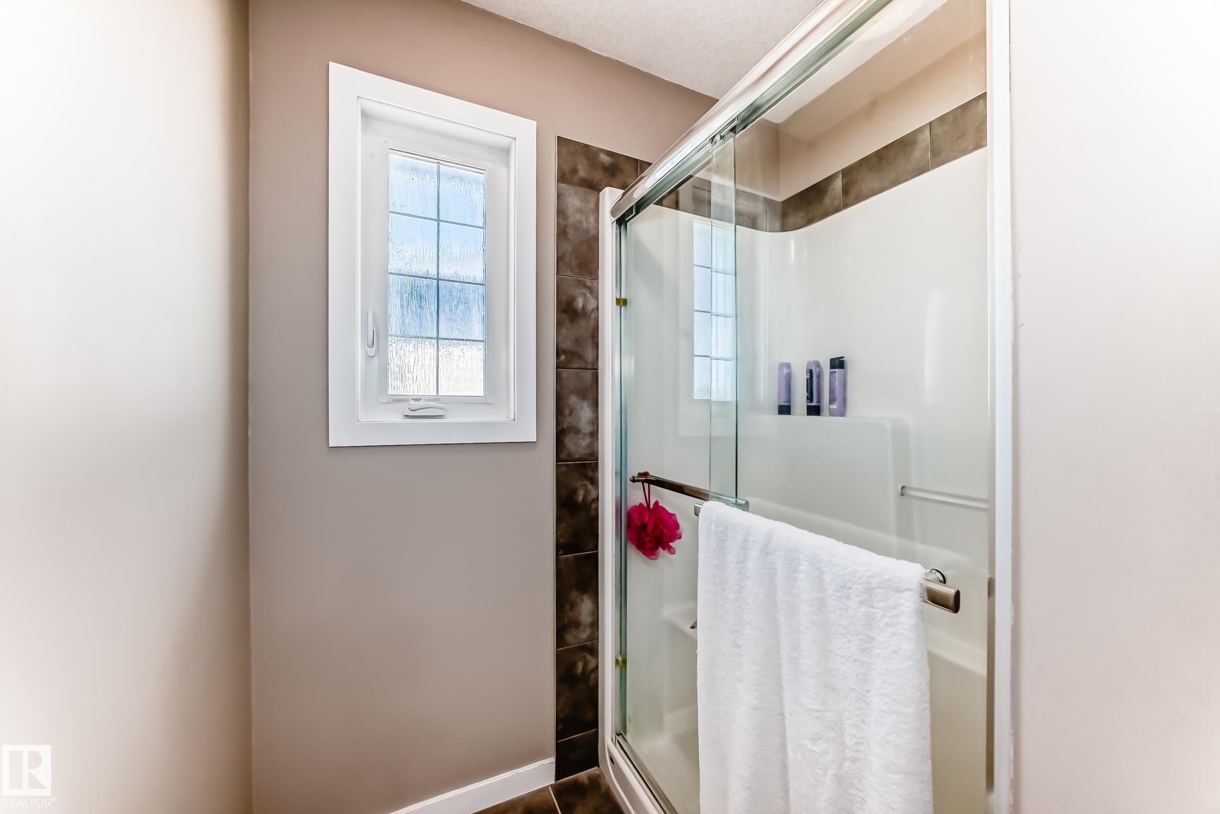16737 60St, Edmonton, AB - Indoor Photo Showing Bathroom