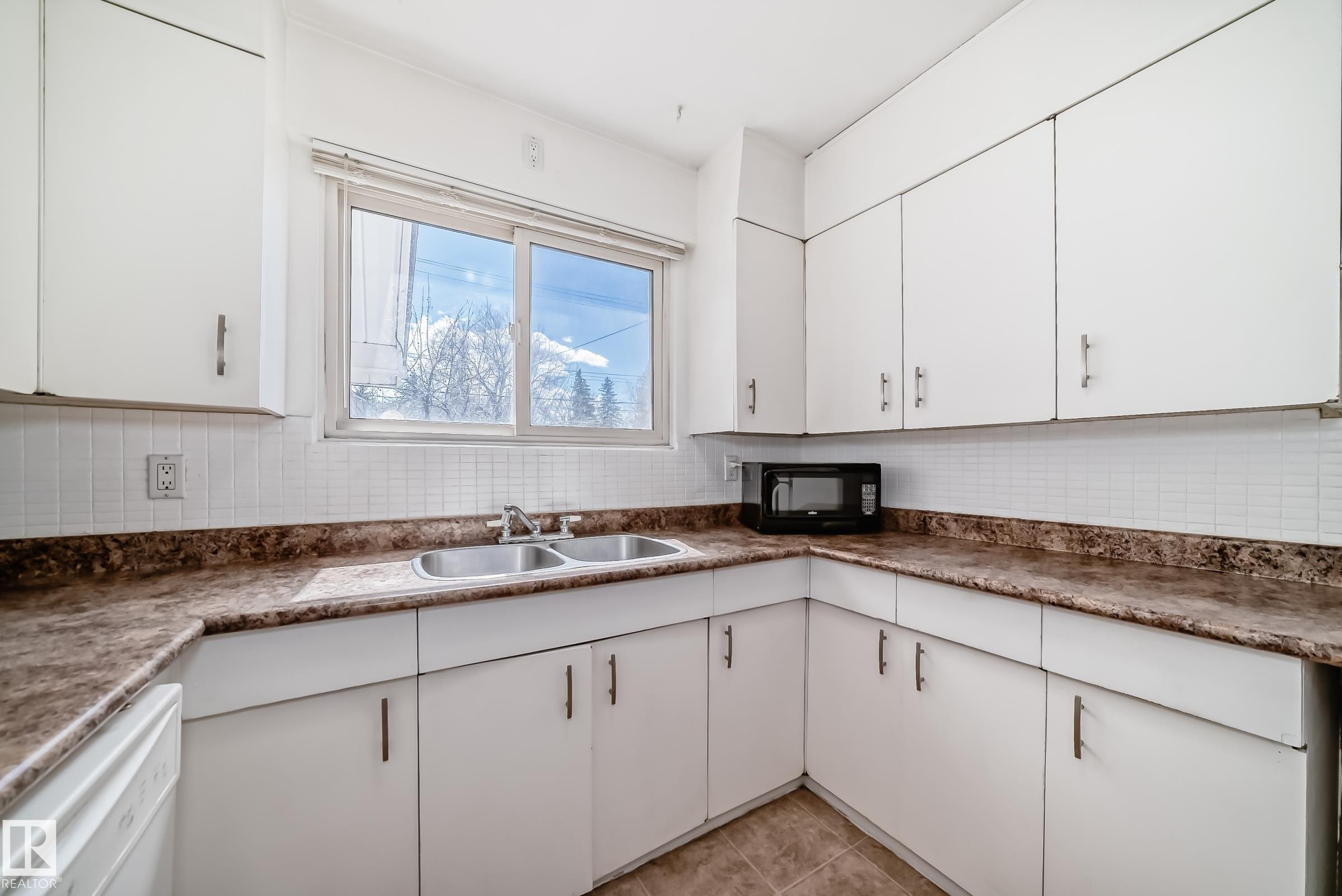 10837 65 Avenue, Edmonton, AB - Indoor Photo Showing Kitchen With Double Sink