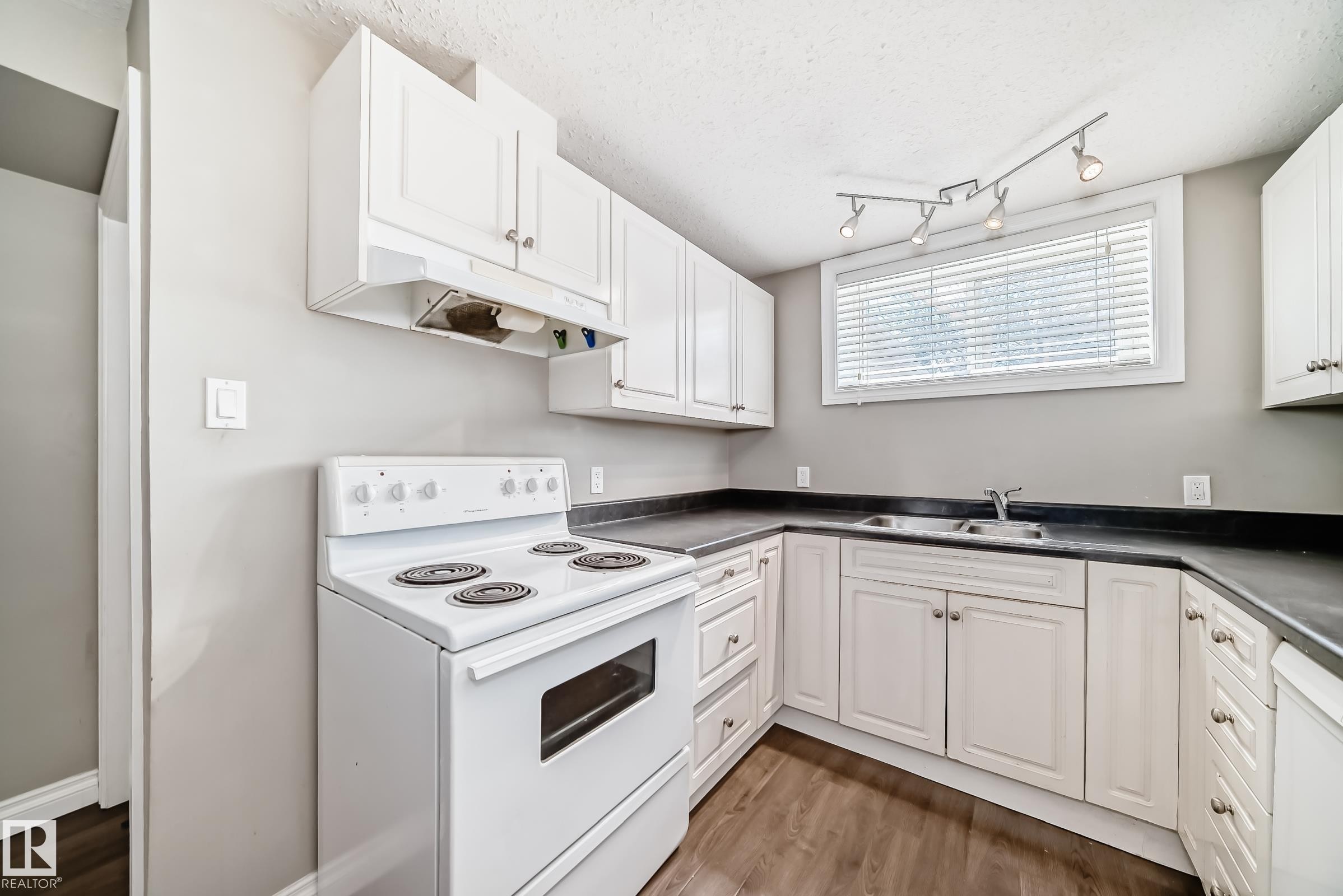 10837 65 Avenue, Edmonton, AB - Indoor Photo Showing Kitchen With Double Sink