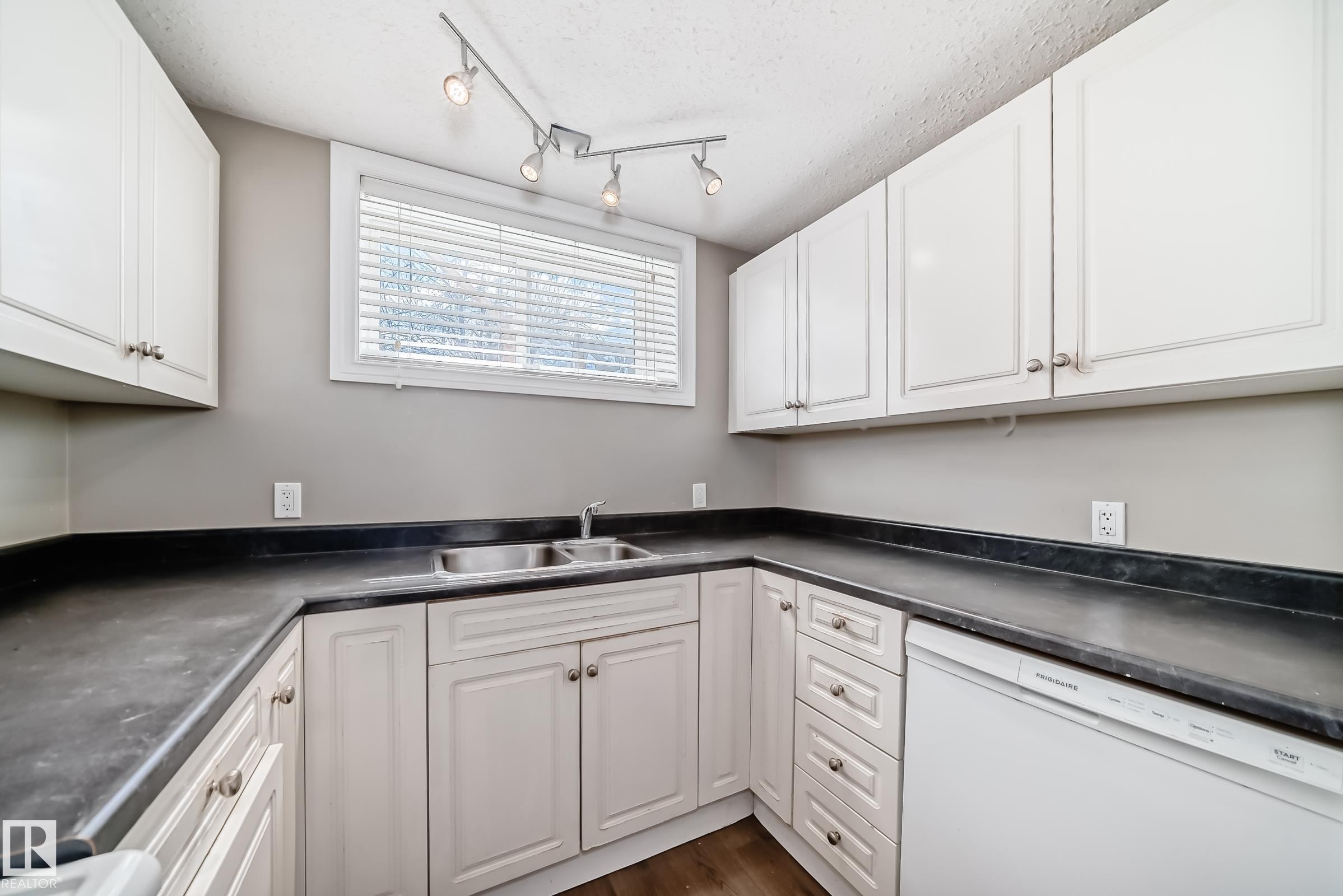10837 65 Avenue, Edmonton, AB - Indoor Photo Showing Kitchen With Double Sink