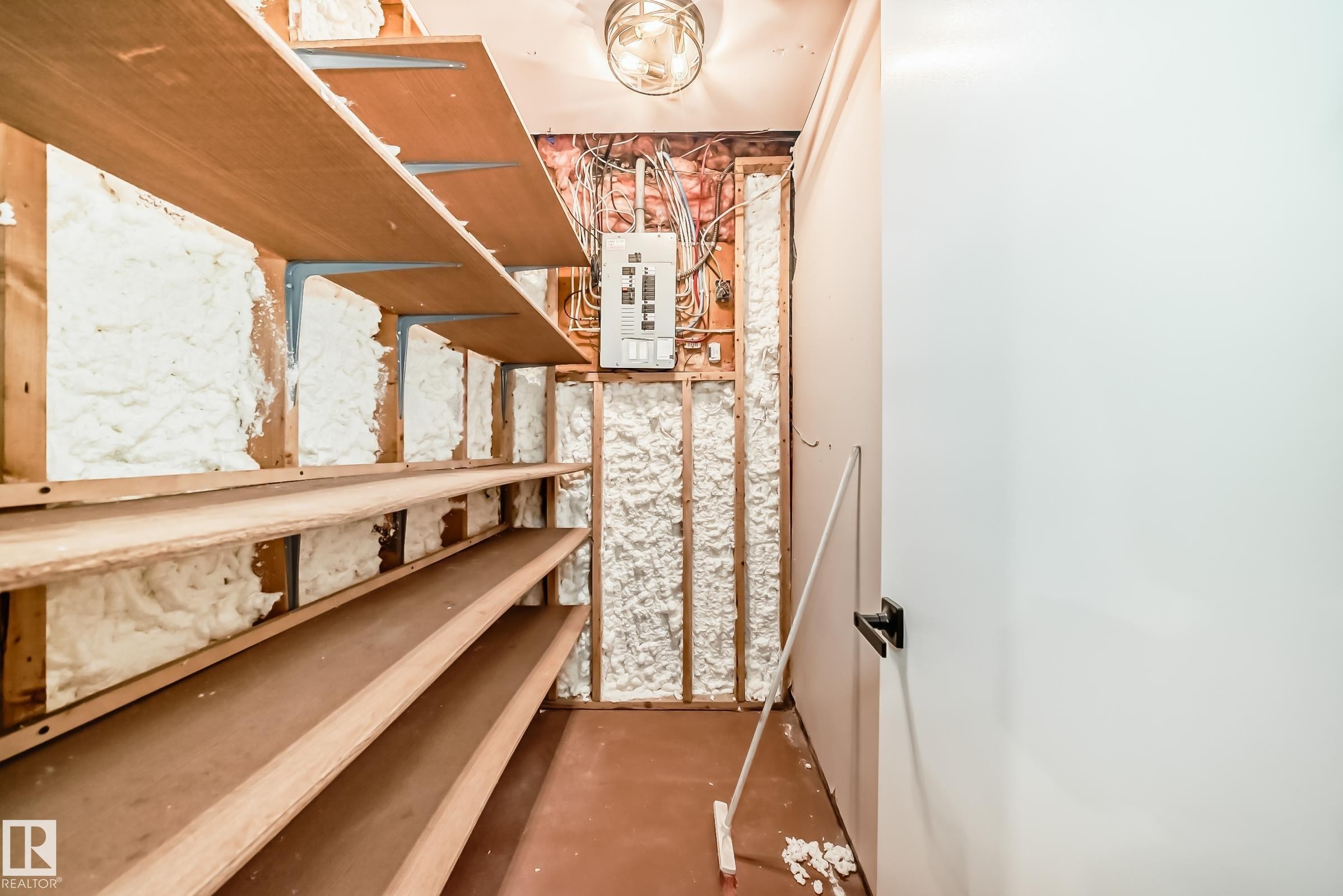 Utility space with extensive wooden shelving, an electrical panel, and exposed insulation - 287 Lago Lindo Crescent, Edmonton, AB - Indoor Photo Showing Other Room