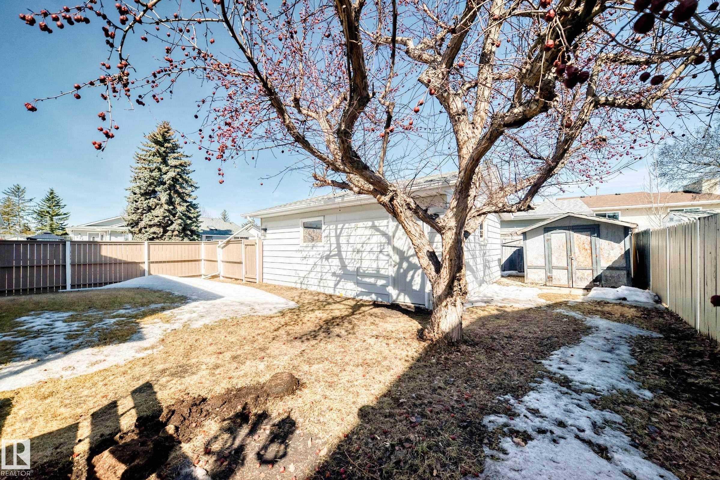 The property features a fenced yard with a detached structure and a mature tree - 287 Lago Lindo Crescent, Edmonton, AB - Outdoor