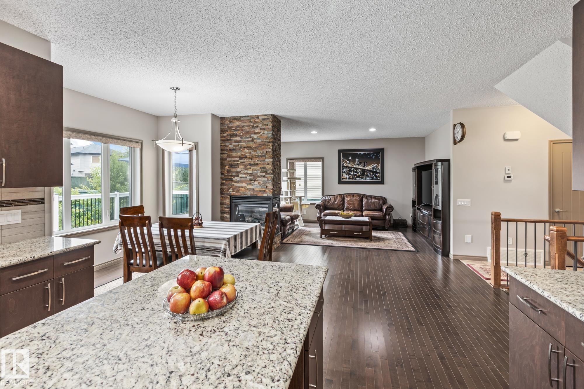 9520 206 Street, Edmonton, AB - Indoor With Fireplace