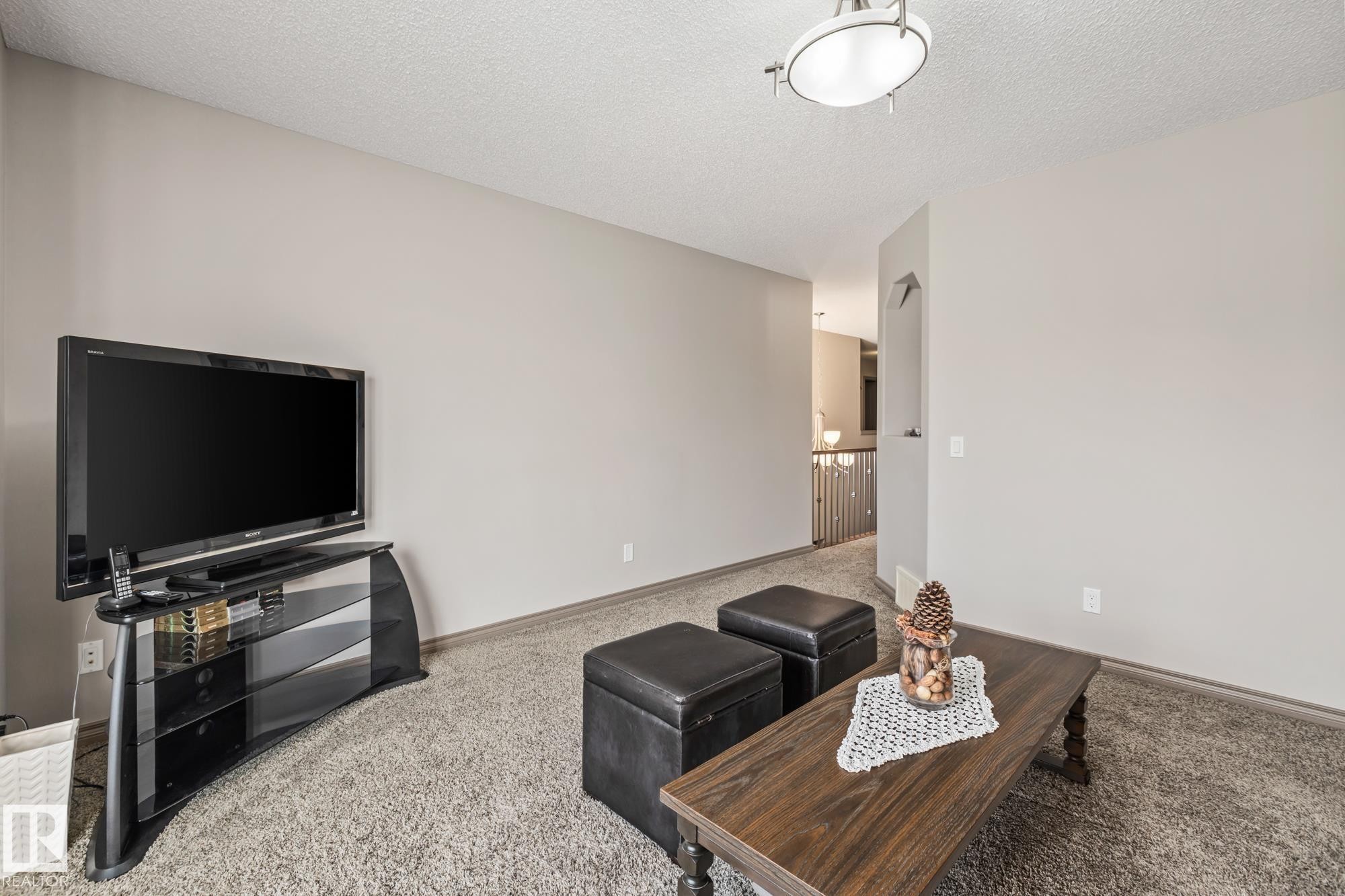 9520 206 Street, Edmonton, AB - Indoor Photo Showing Living Room