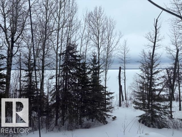 582 Highway 813, Rural Opportunity M.D., AB - Outdoor With View