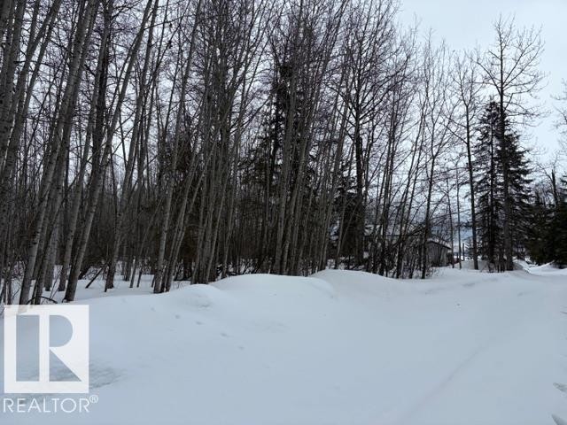 582 Highway 813, Rural Opportunity M.D., AB - Outdoor With View