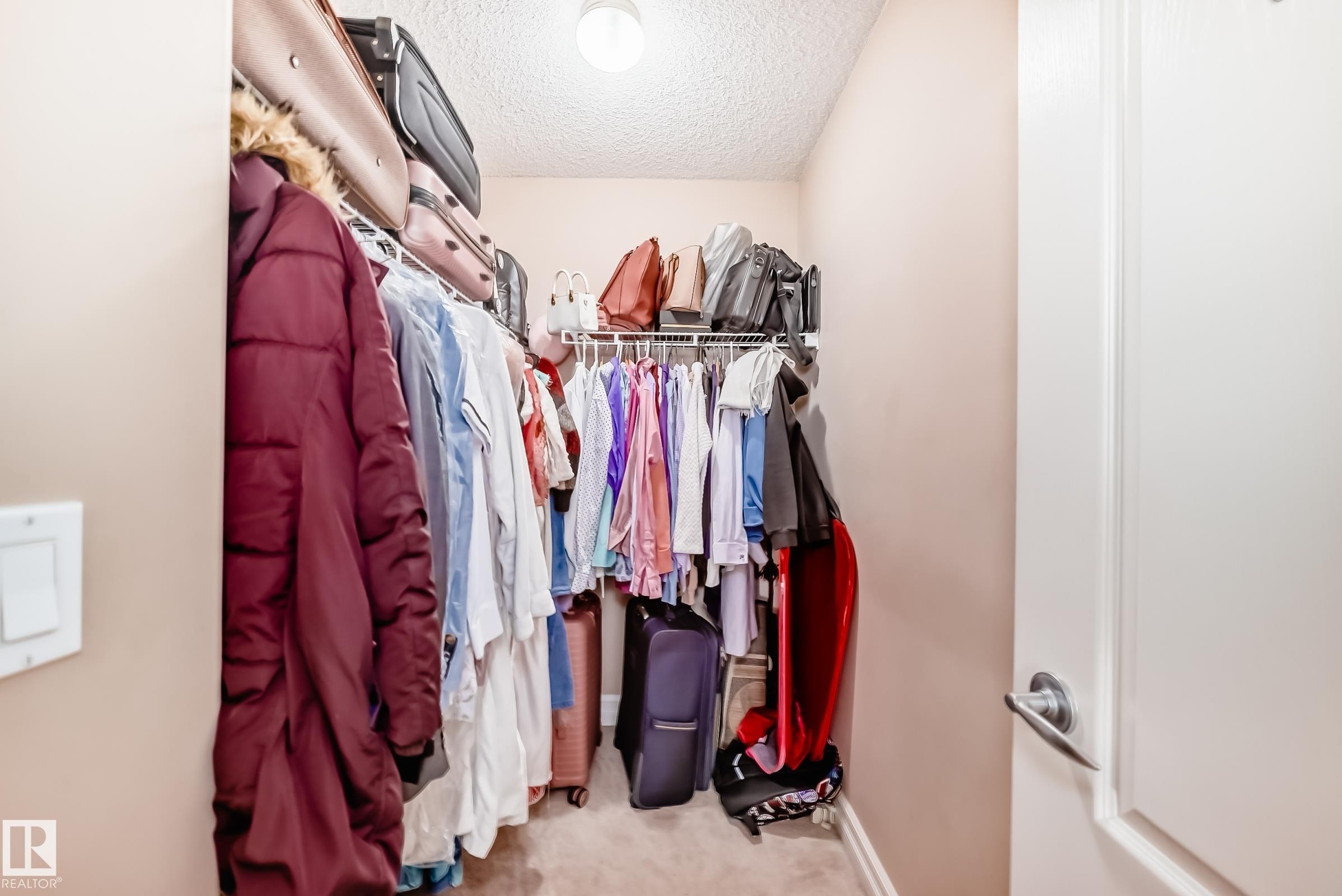 This property offers a walk-in closet with carpeted flooring, a light fixture, and hanging rods for clothing storage - 11415 167A Avenue Nw, Edmonton, AB - Indoor With Storage