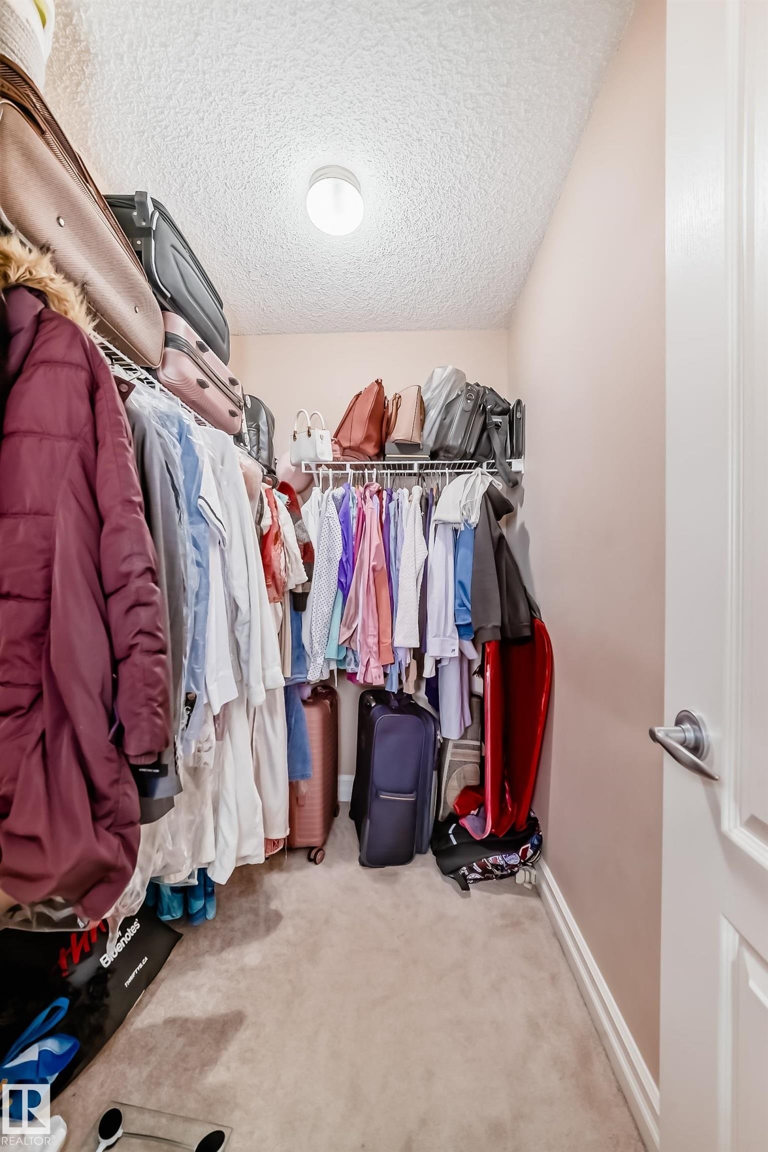 The property offers a walk-in closet with carpeted flooring and a mounted light fixture - 11415 167A Avenue Nw, Edmonton, AB - Indoor With Storage