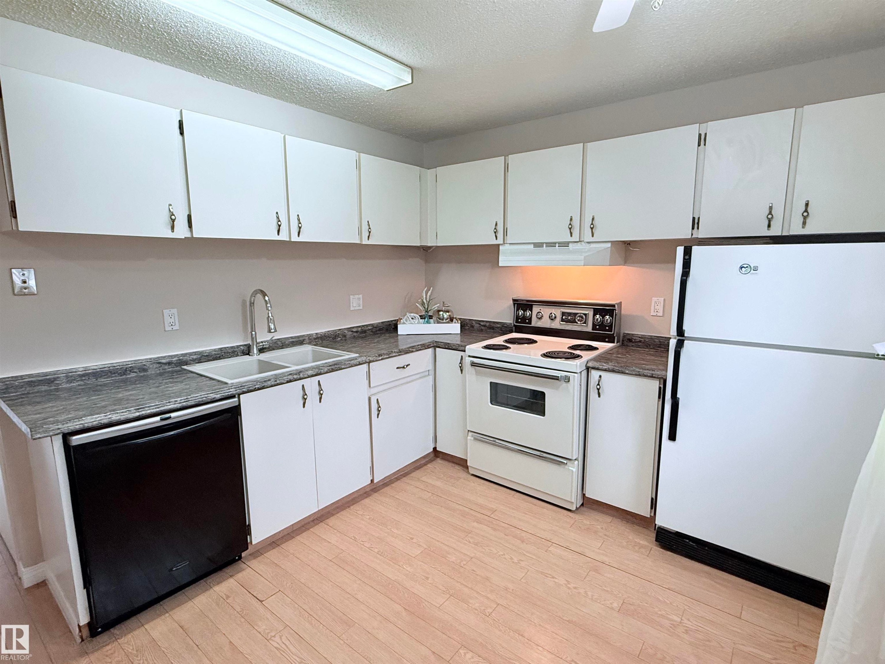 18118 93 Avenue, Edmonton, AB - Indoor Photo Showing Kitchen With Double Sink