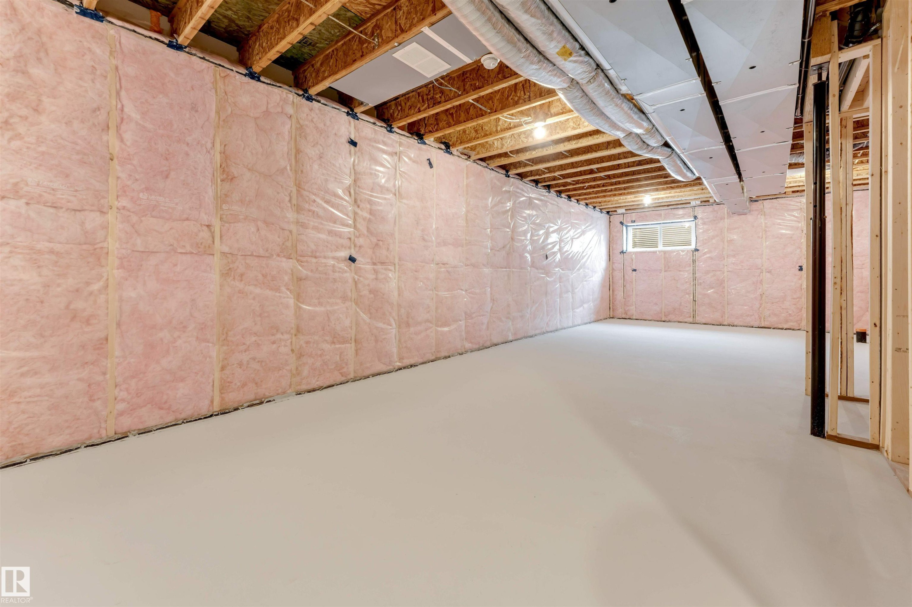 1027 Aster Boulevard, Edmonton, AB - Indoor Photo Showing Basement