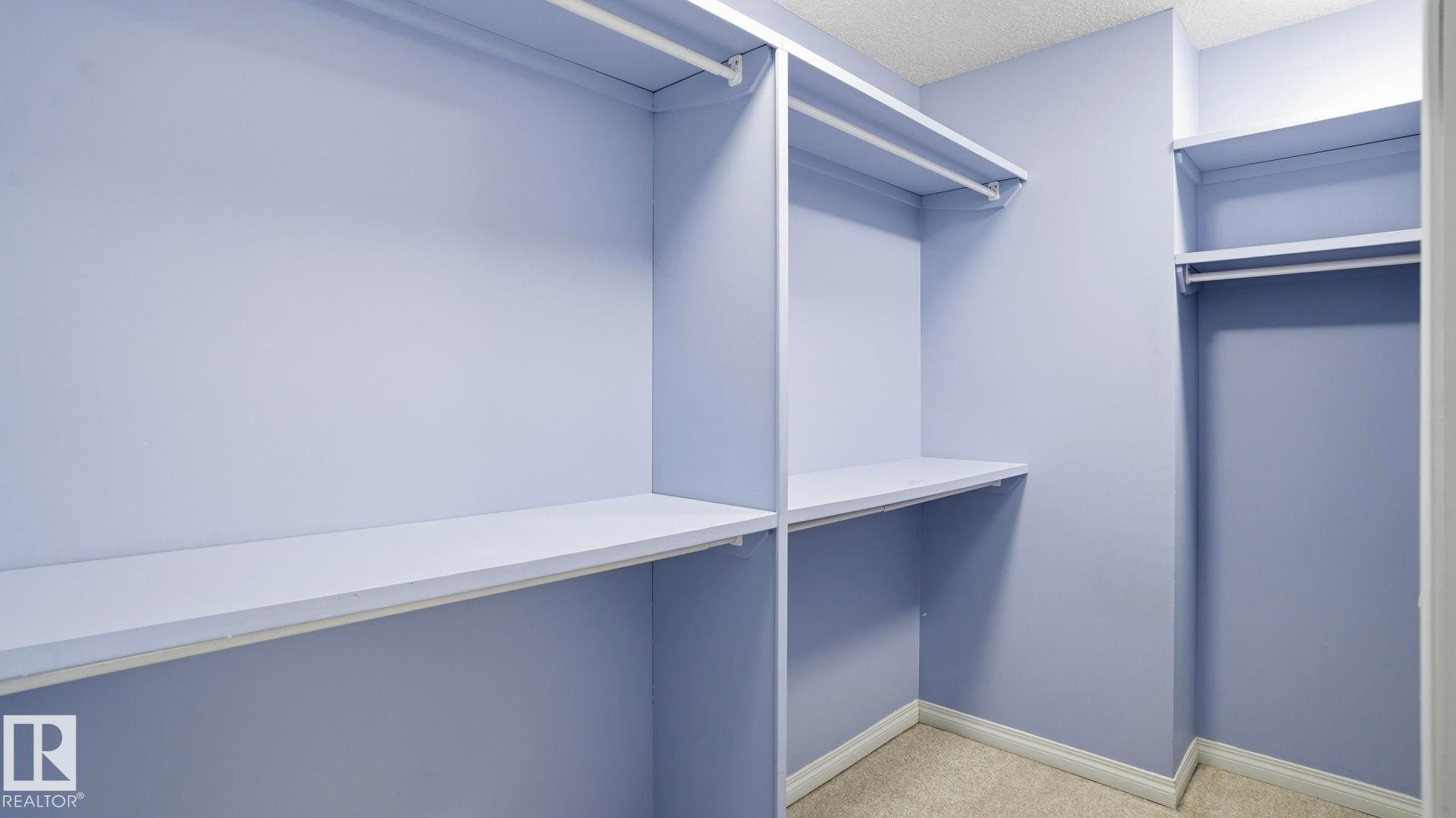 1007 Ormsby Crescent, Edmonton, AB - Indoor With Storage