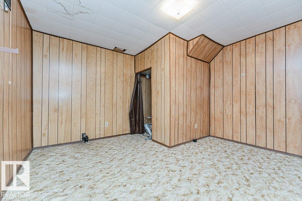 This room features wood-paneled walls, patterned carpeting, and a white ceiling with a flush-mount light fixture - 8804 19 Avenue, Edmonton, AB - Indoor Photo Showing Other Room