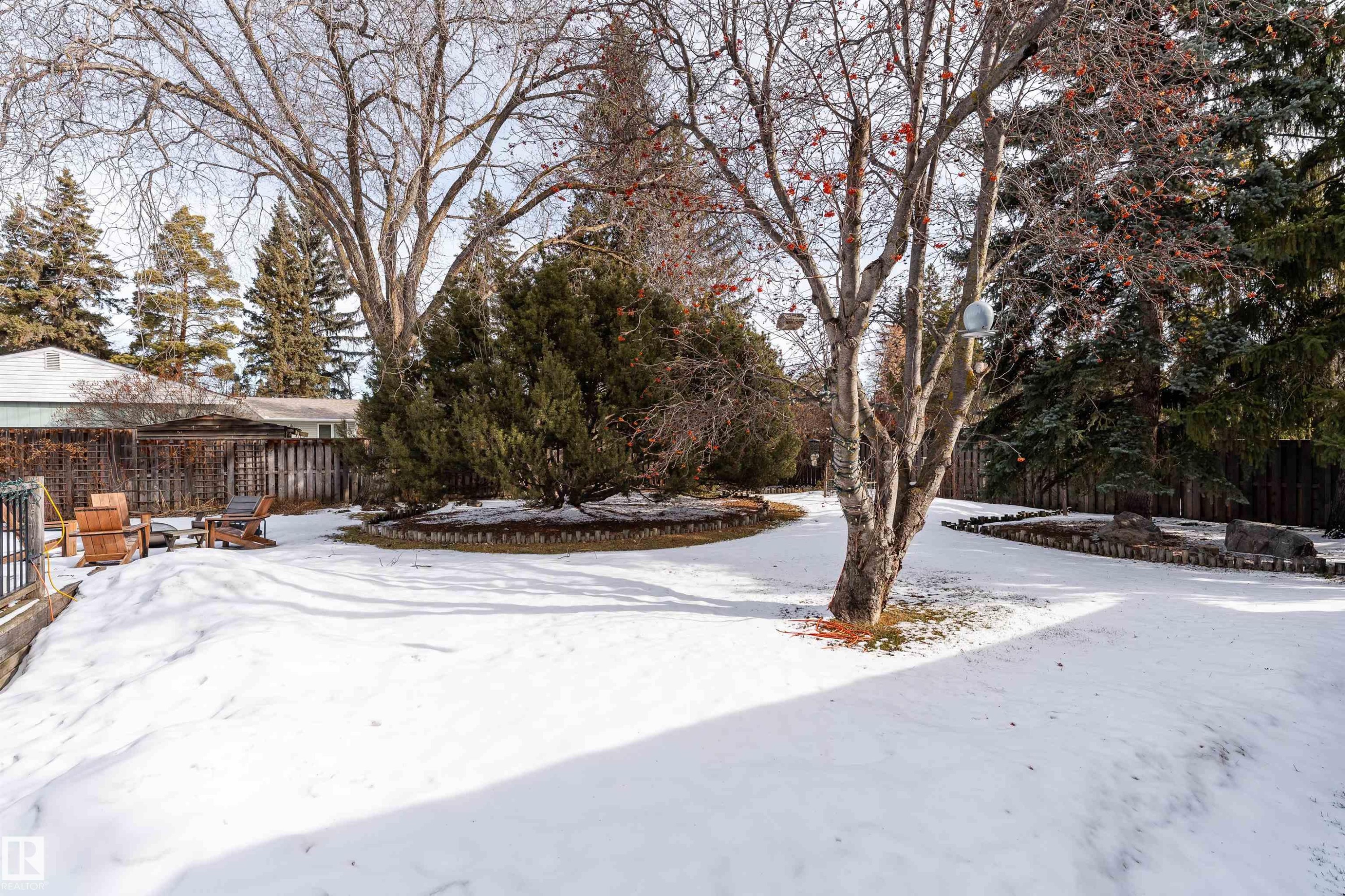 The property features an expansive yard with a snow-covered lawn, mature trees, and evergreen shrubs - 9715 141 Street Nw, Edmonton, AB - Outdoor
