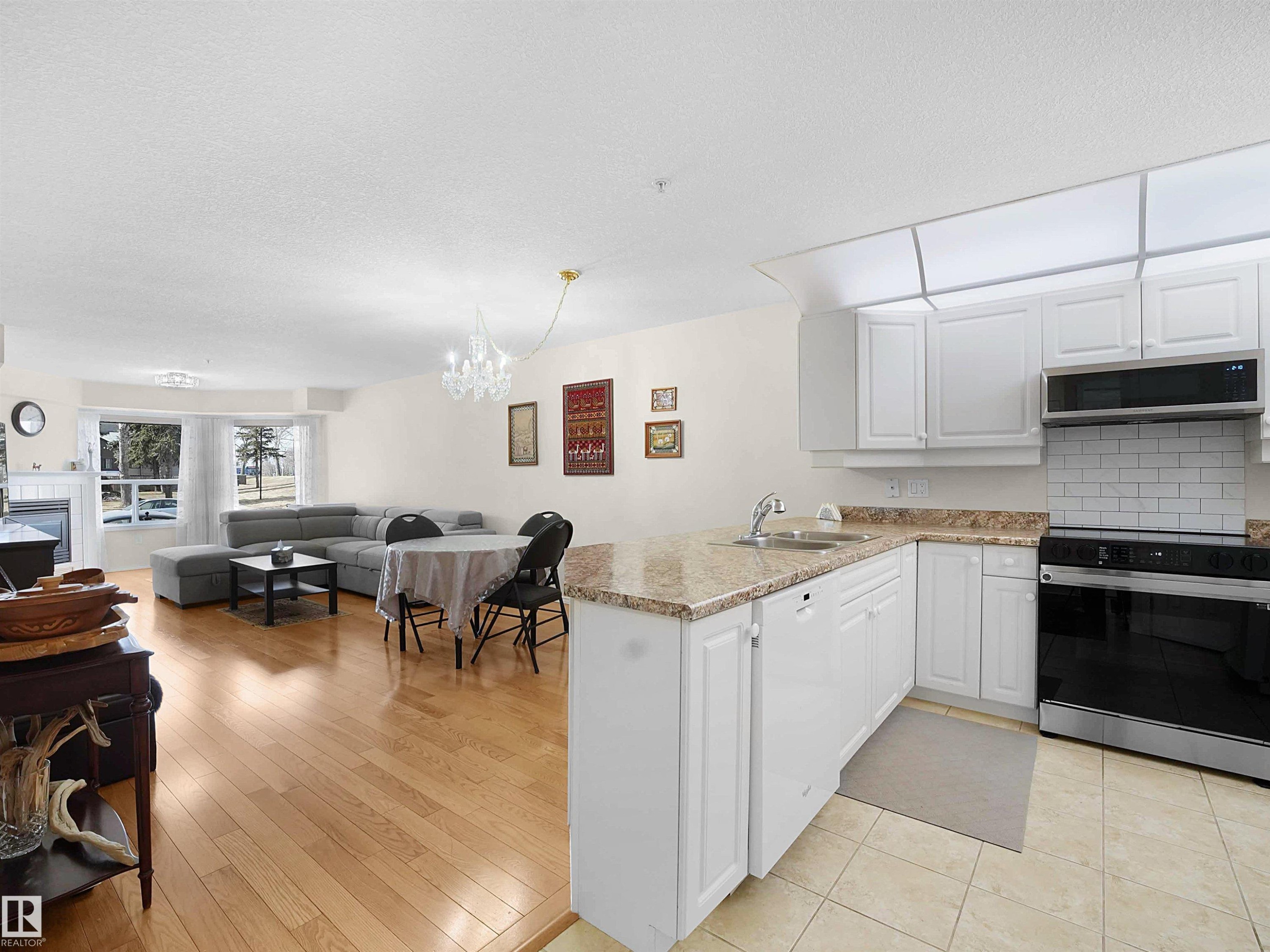 103 6703 172 Street, Edmonton, AB - Indoor Photo Showing Kitchen With Double Sink