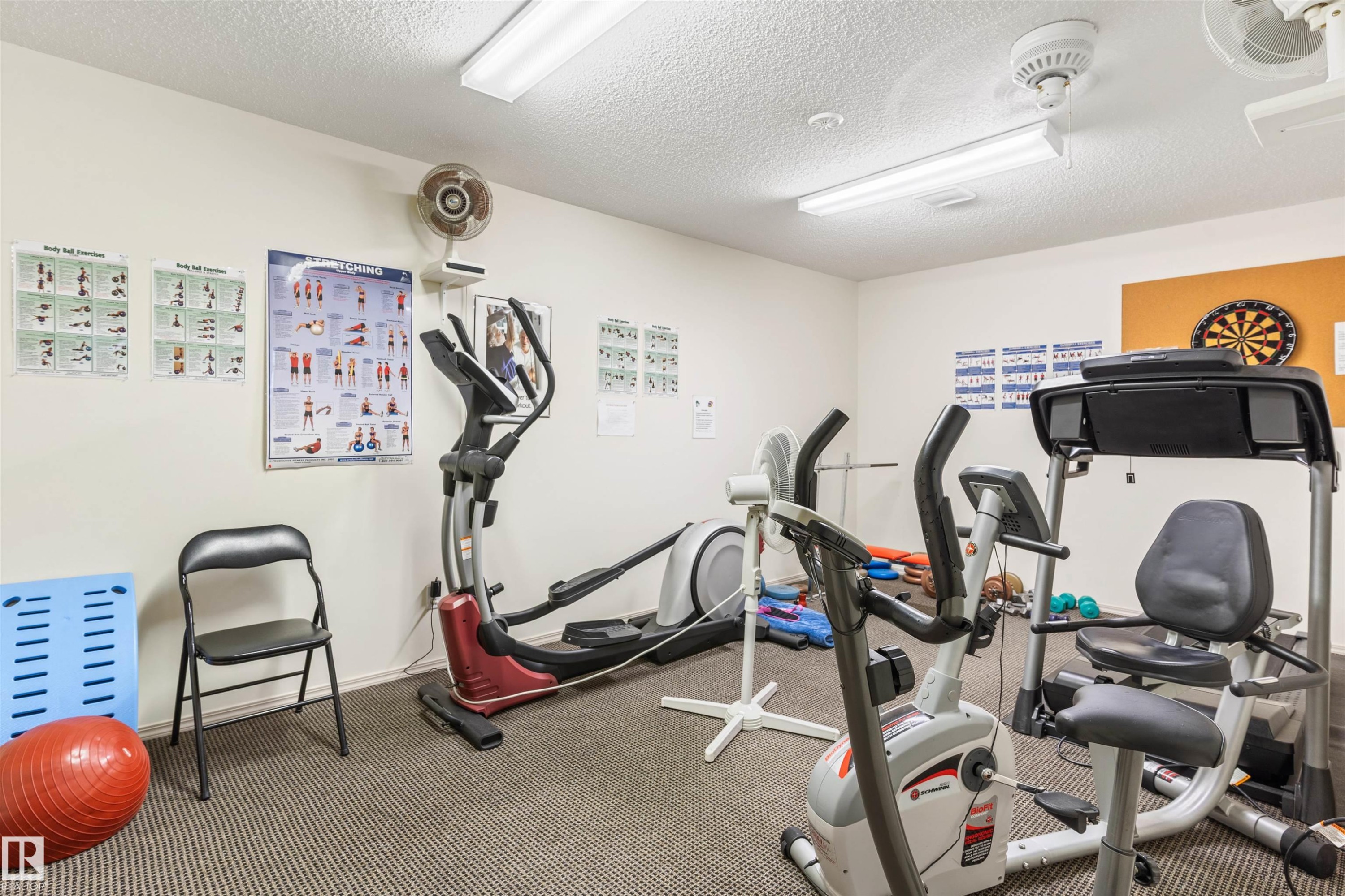 #403 18020 95 Av Nw, Edmonton, AB - Indoor Photo Showing Gym Room