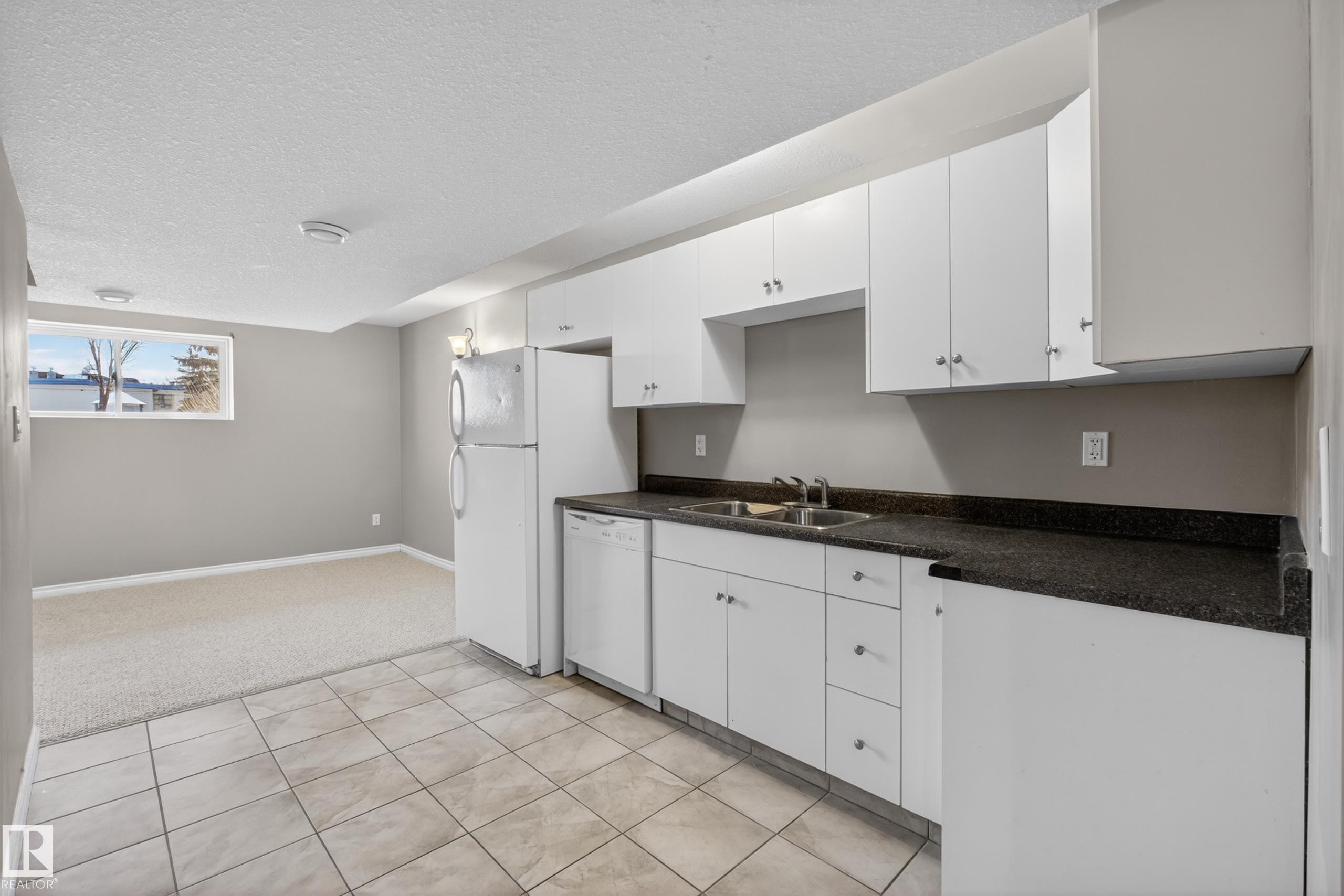 9808 162 Street, Edmonton, AB - Indoor Photo Showing Kitchen With Double Sink
