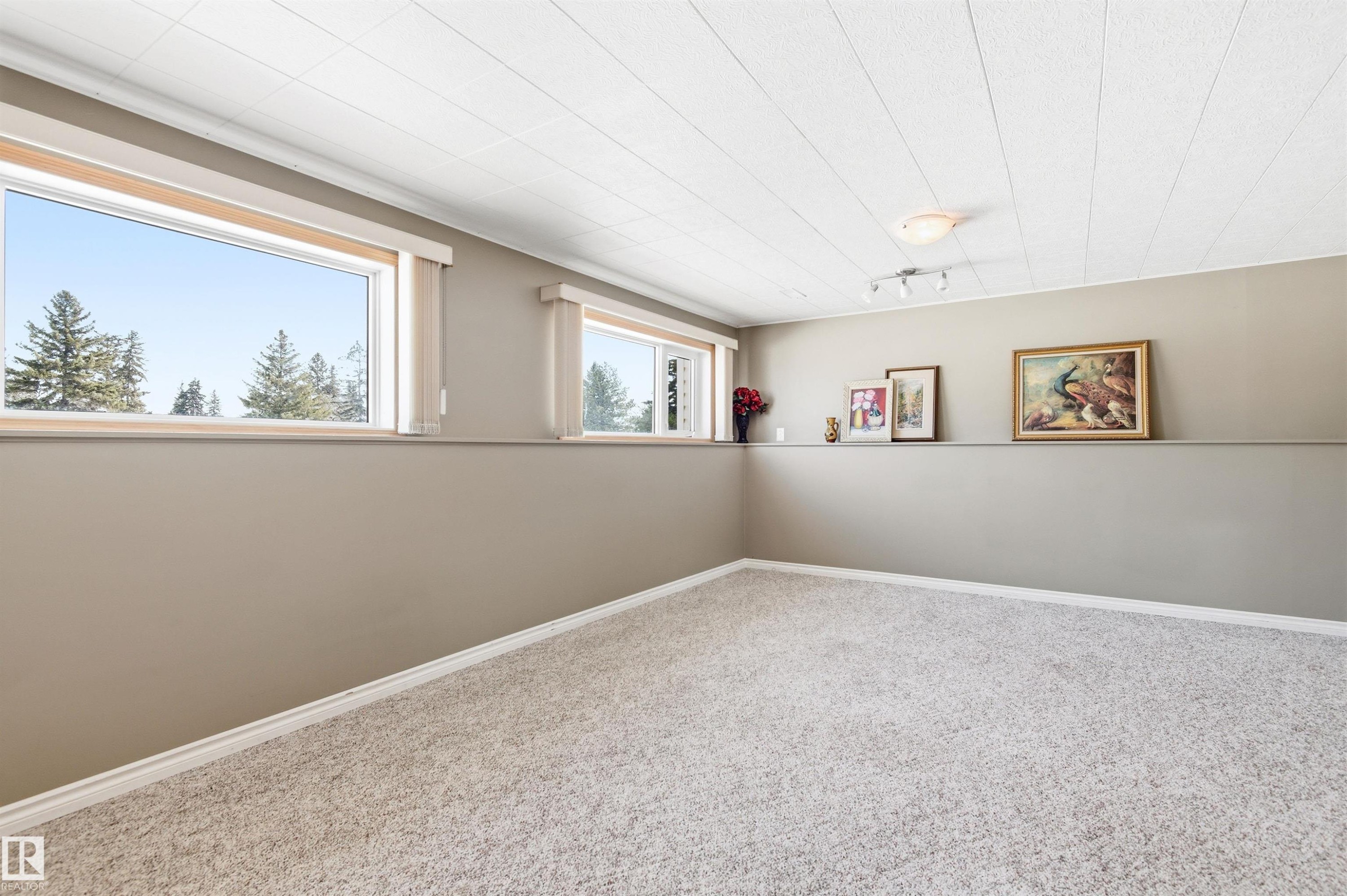This versatile room features carpeted flooring, light-colored walls, and two windows providing views of trees - 12904 95 Street, Edmonton, AB - Indoor Photo Showing Other Room