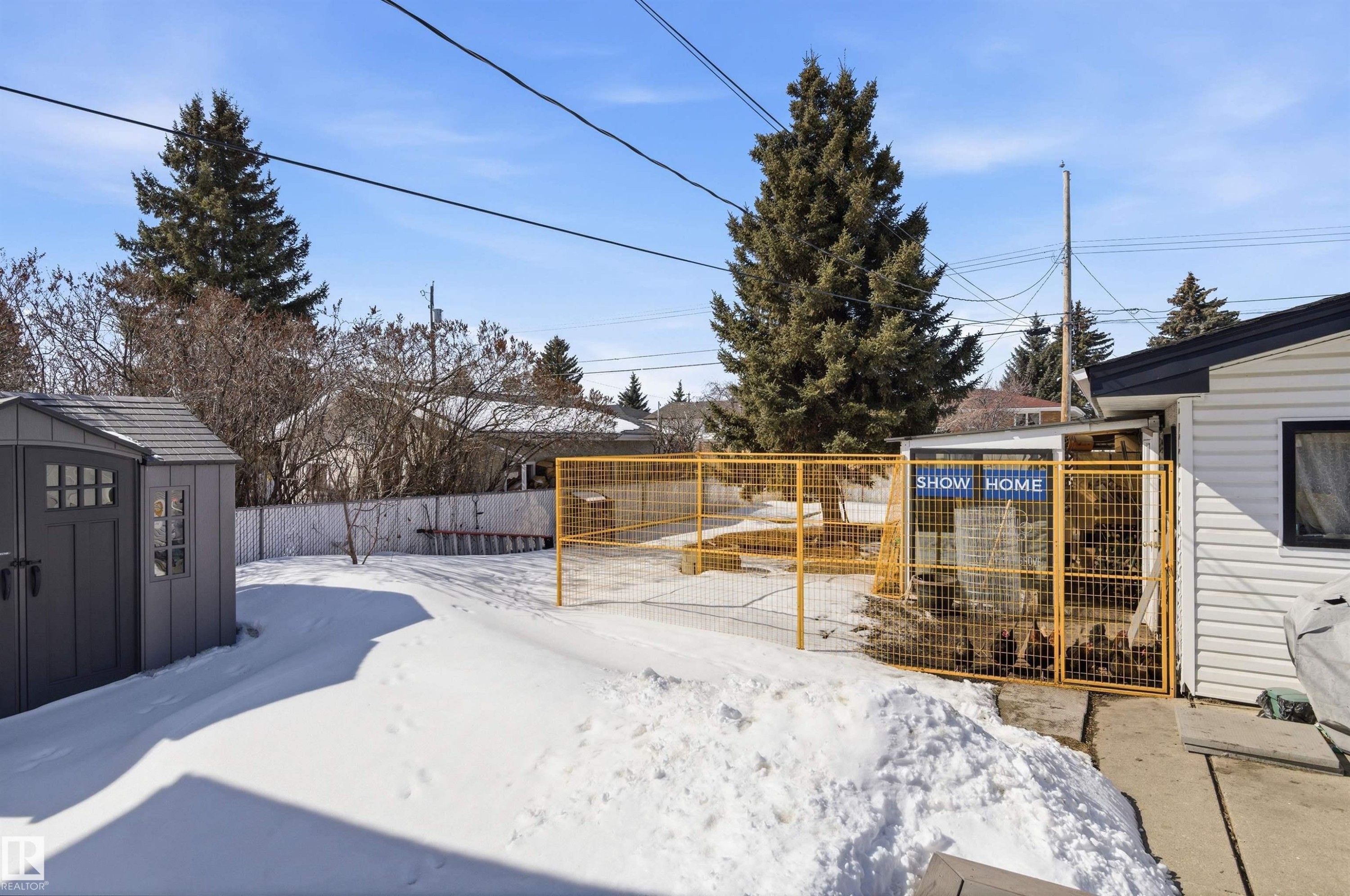 The property features a spacious rear yard with a storage shed and mature trees - 12904 95 Street, Edmonton, AB - Outdoor