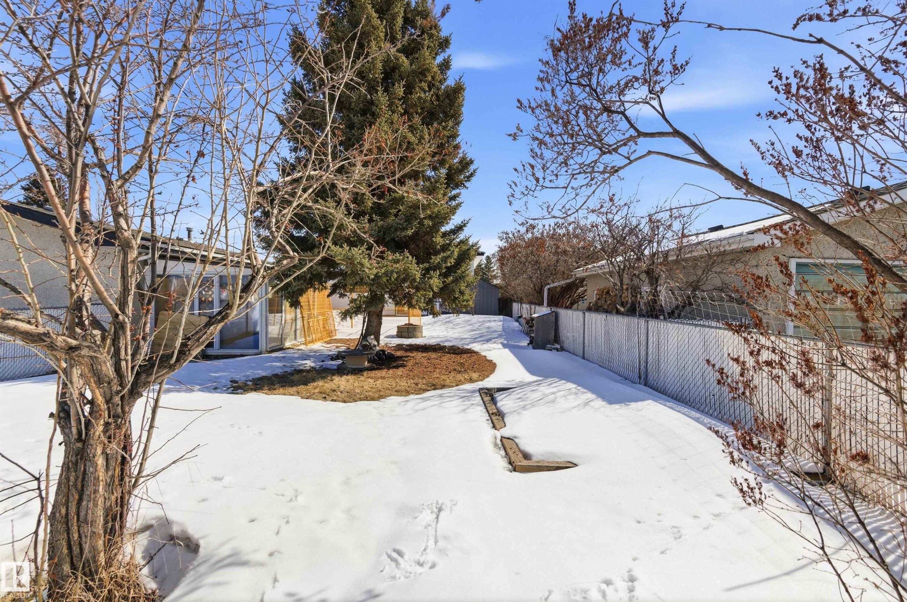 The property features a spacious yard with mature trees and a chain-link fence, offering clear views of the surroundings under a bright blue sky - 12904 95 Street, Edmonton, AB - Outdoor