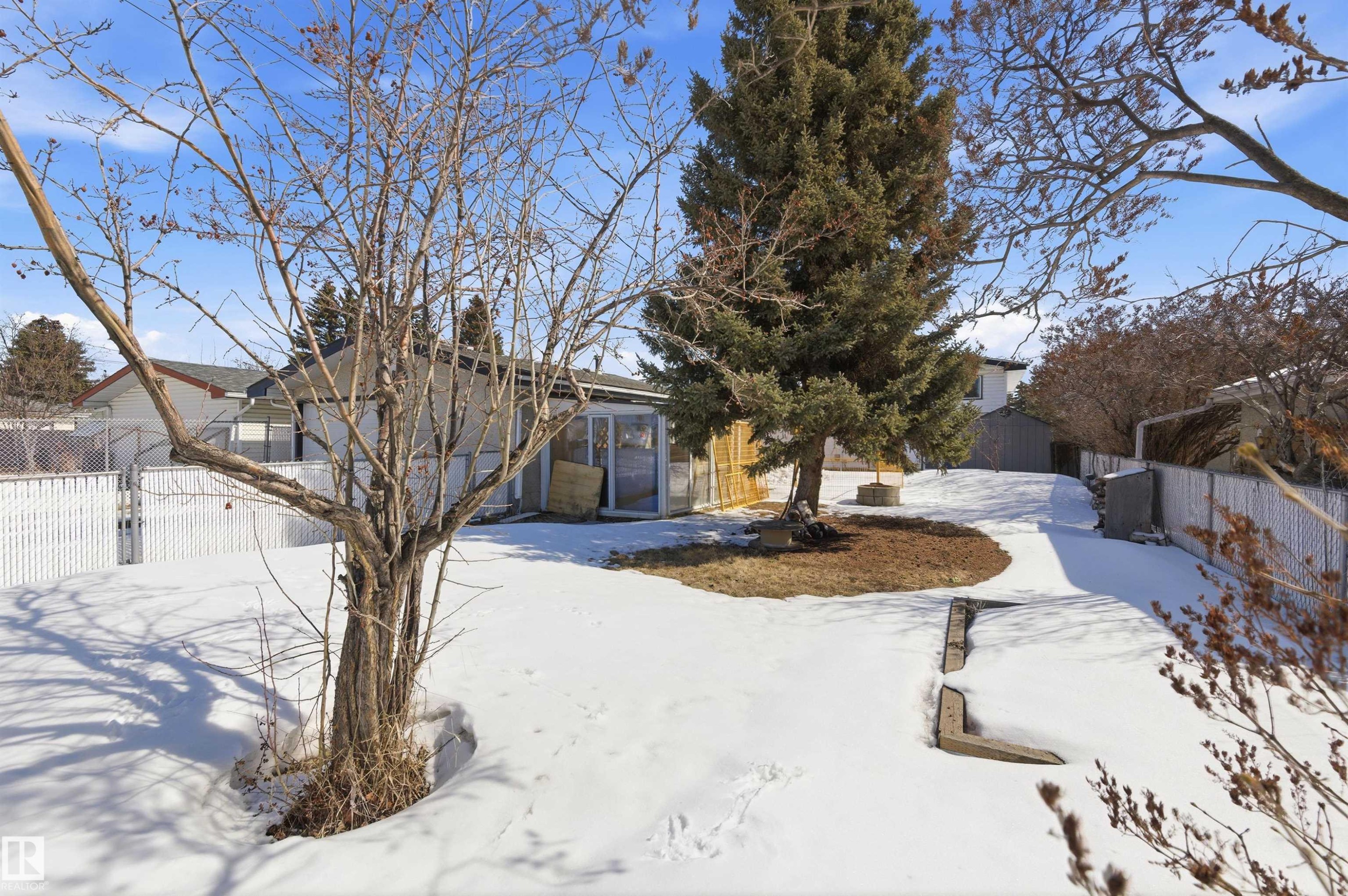 The property features a spacious yard with a large evergreen tree and a white fence along the perimeter - 12904 95 Street, Edmonton, AB - Outdoor