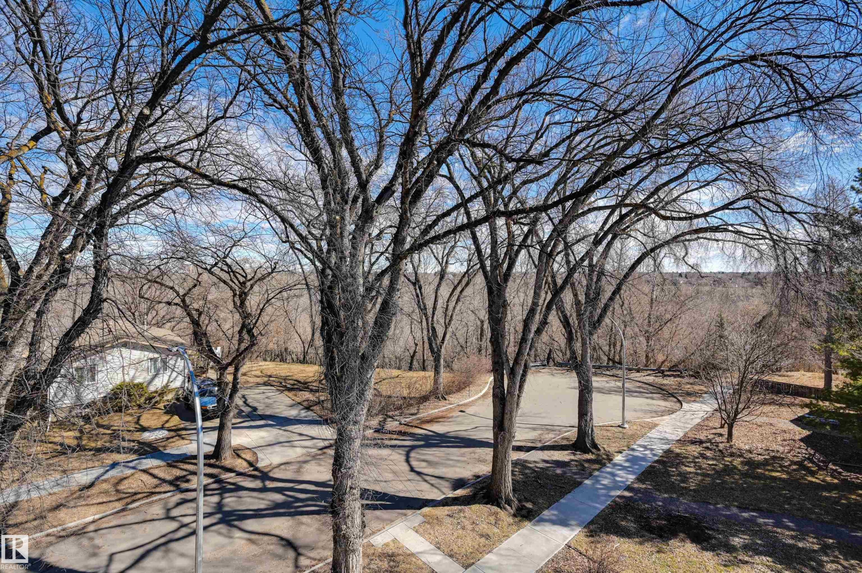 Mature trees framing a paved driveway and concrete sidewalk - 9741 90 Avenue, Edmonton, AB - Outdoor With View