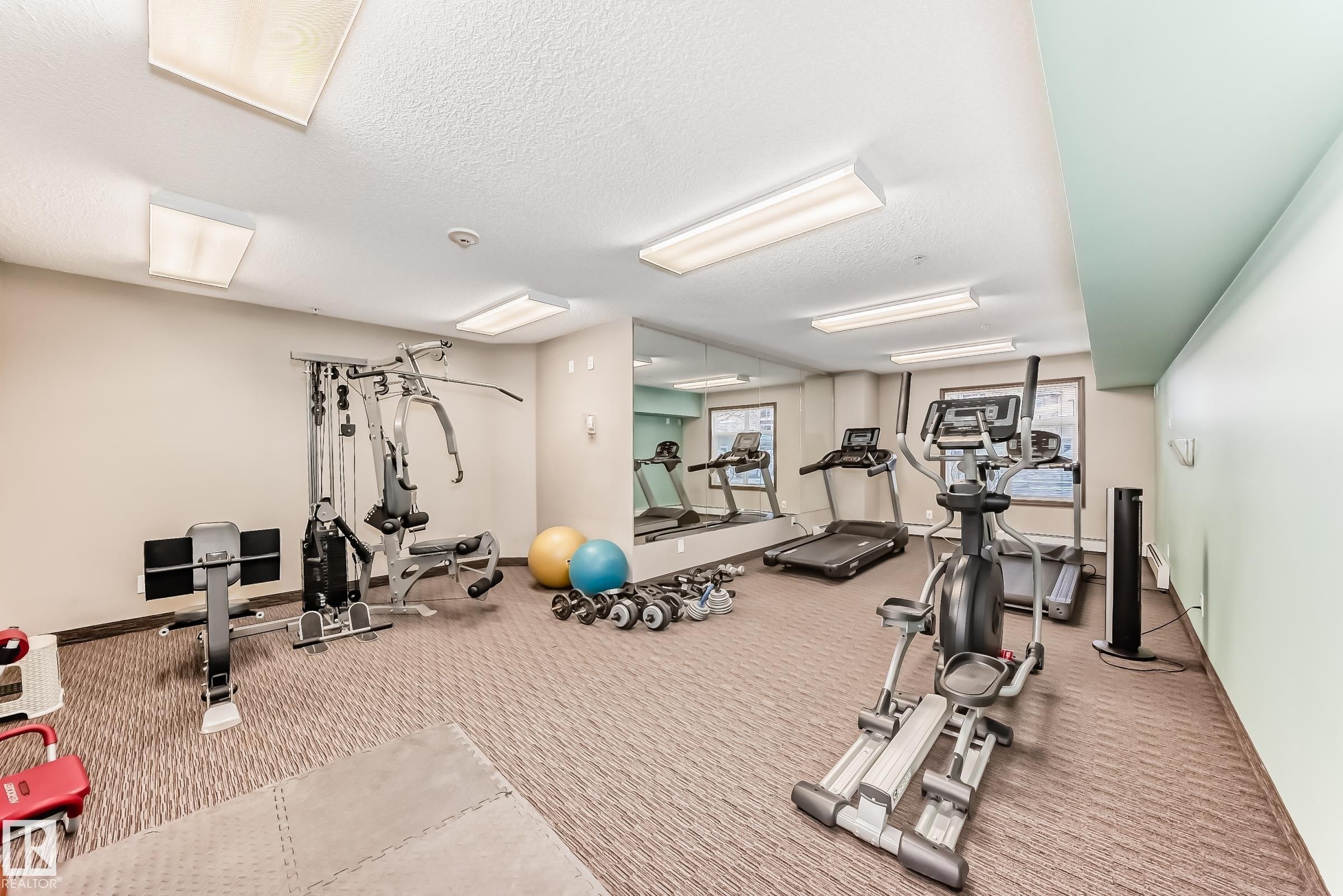 229 6076 Schonsee Way, Edmonton, AB - Indoor Photo Showing Gym Room