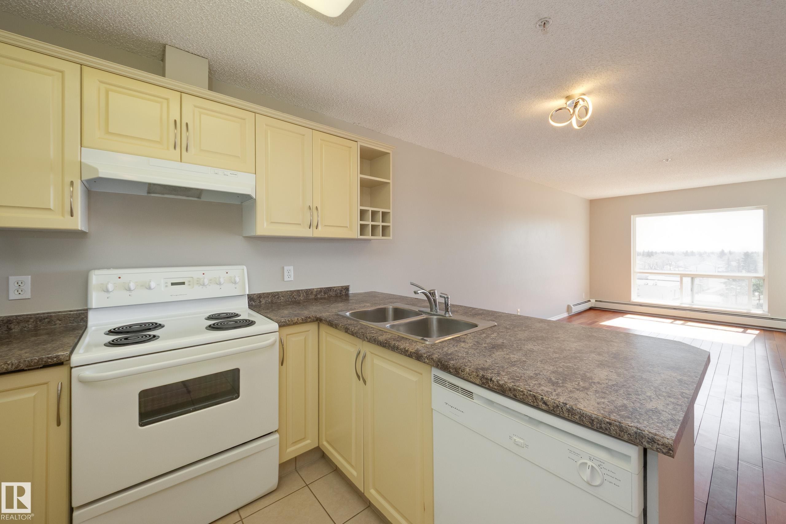 528 17404 64 Avenue, Edmonton, AB - Indoor Photo Showing Kitchen With Double Sink