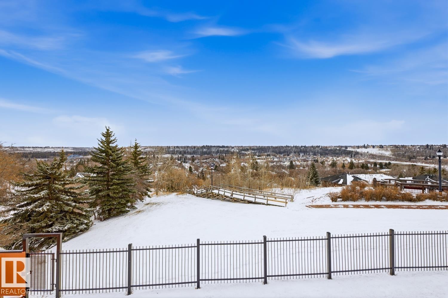Expansive snow-covered landscape with mature evergreen trees - #115 10105 95 St Nw, Edmonton, AB - Outdoor With View