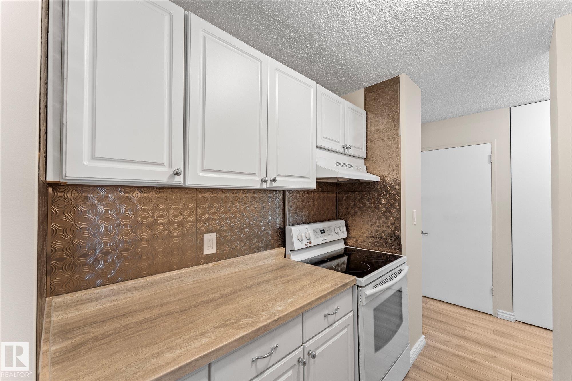 102 13910 Stony Plain Road, Edmonton, AB - Indoor Photo Showing Kitchen