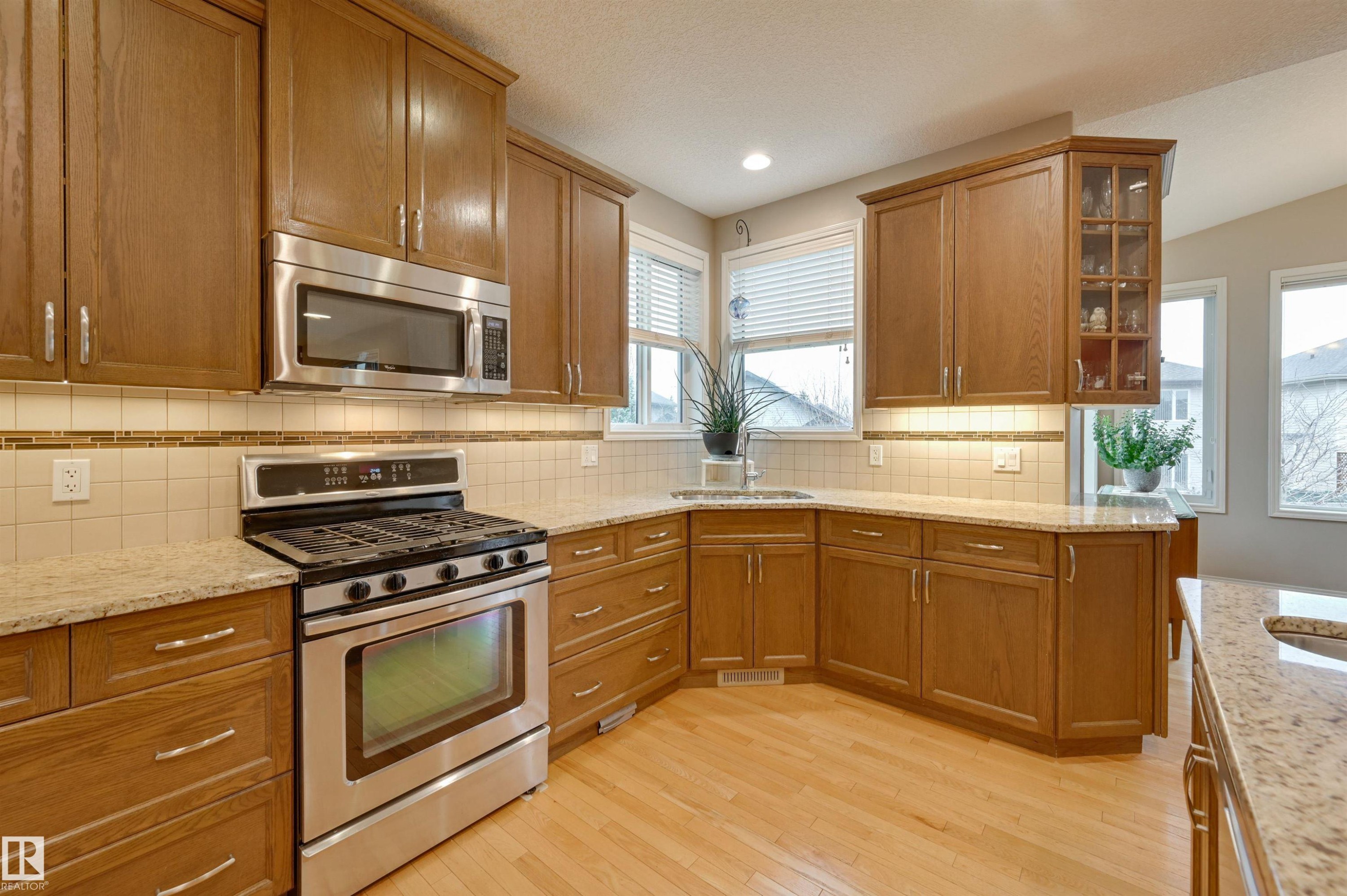 20645 93A Avenue, Edmonton, AB - Indoor Photo Showing Kitchen With Double Sink
