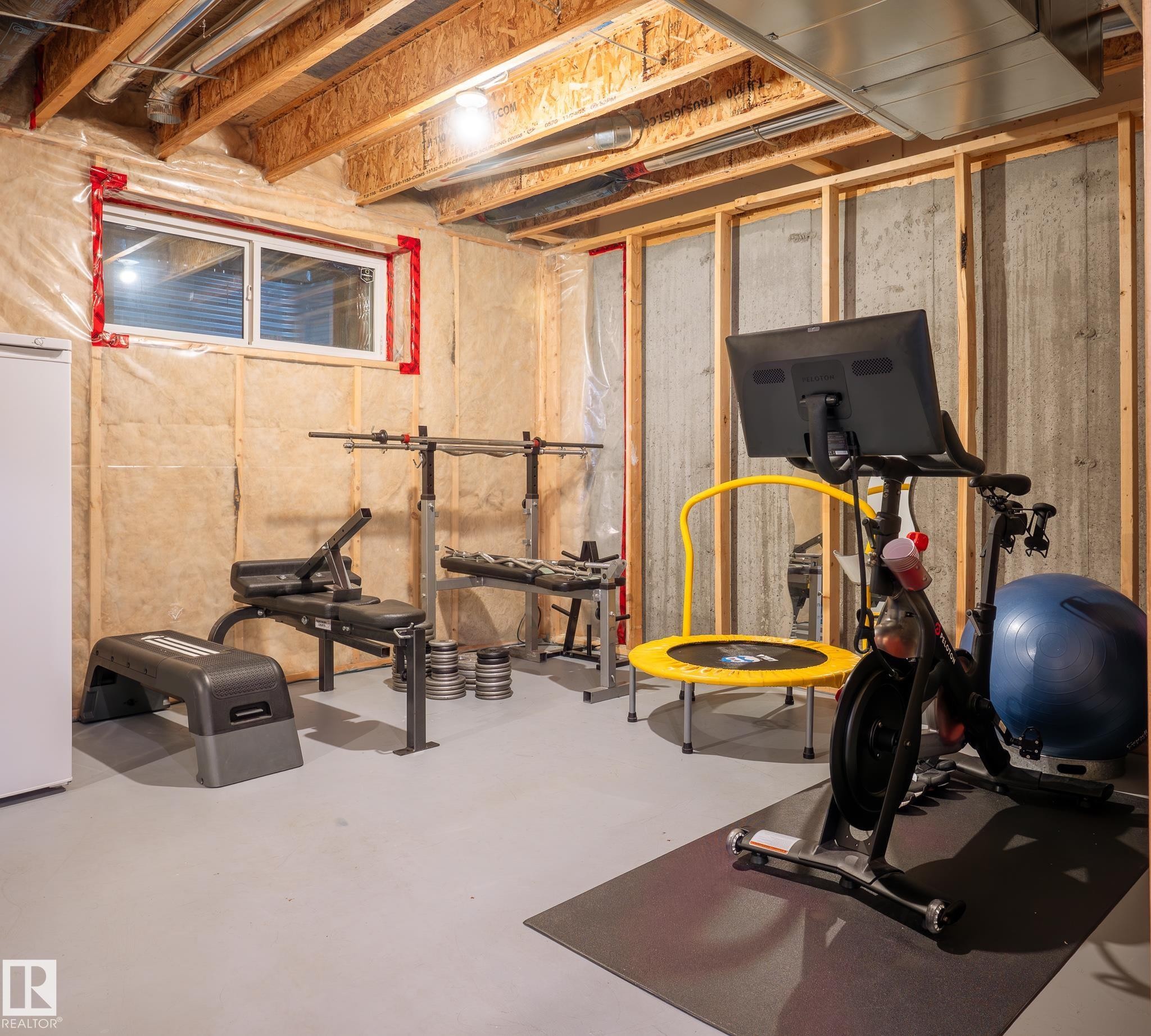 1245 Mcconachie Boulevard, Edmonton, AB - Indoor Photo Showing Basement