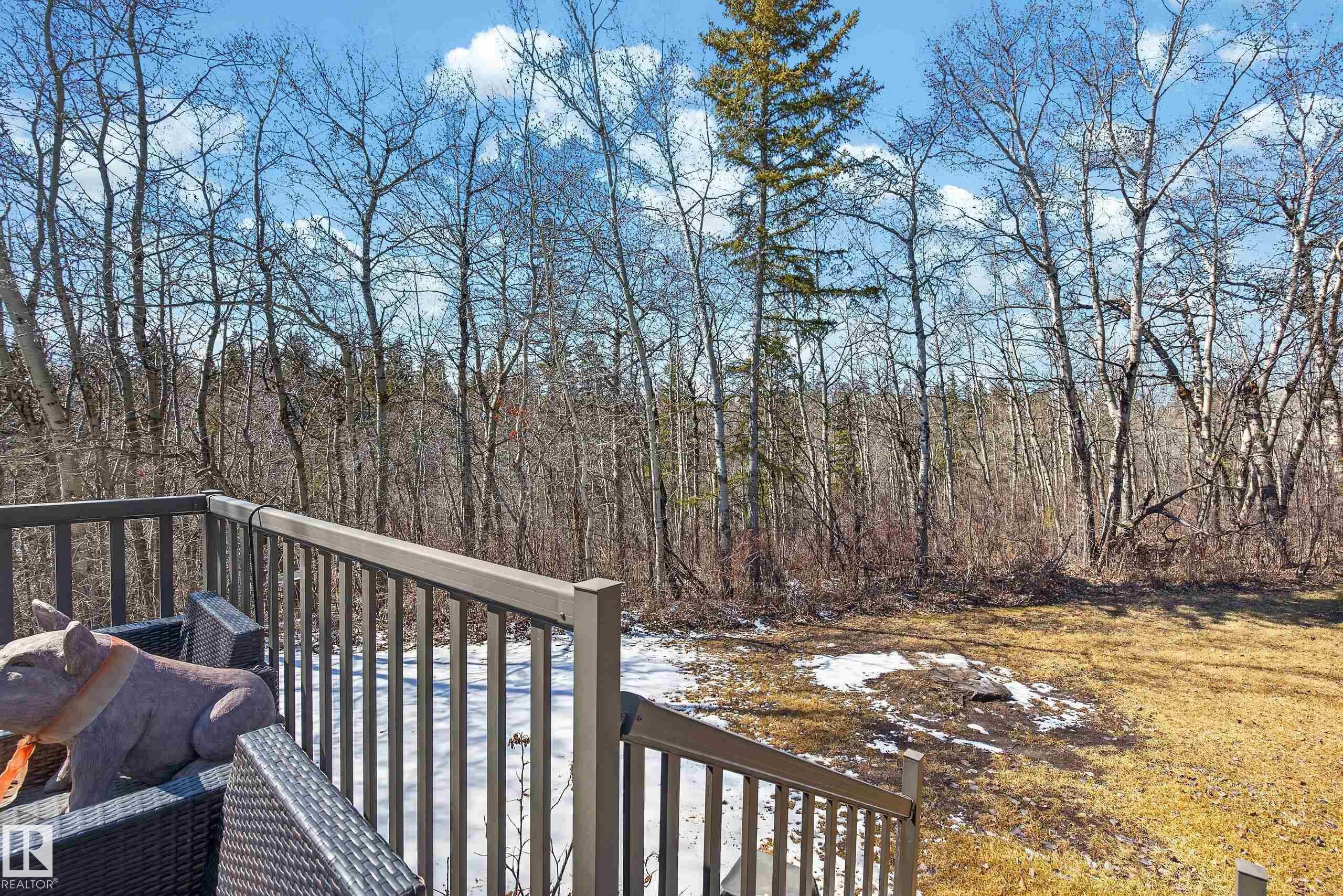 76 Willow Way, Edmonton, AB - Outdoor