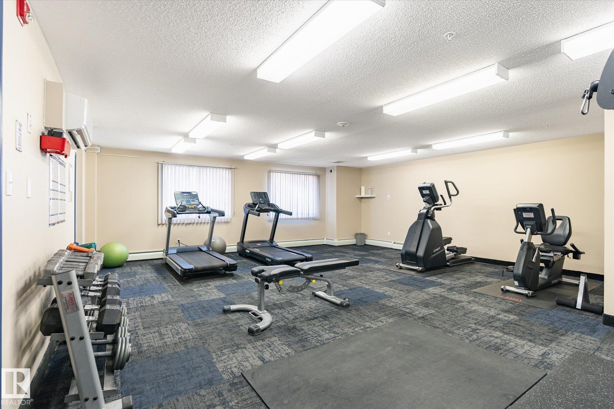 Dedicated fitness area featuring patterned carpet tile flooring, multiple exercise machines, and a dumbbell rack - 203 155 Edwards Drive, Edmonton, AB - Indoor Photo Showing Gym Room