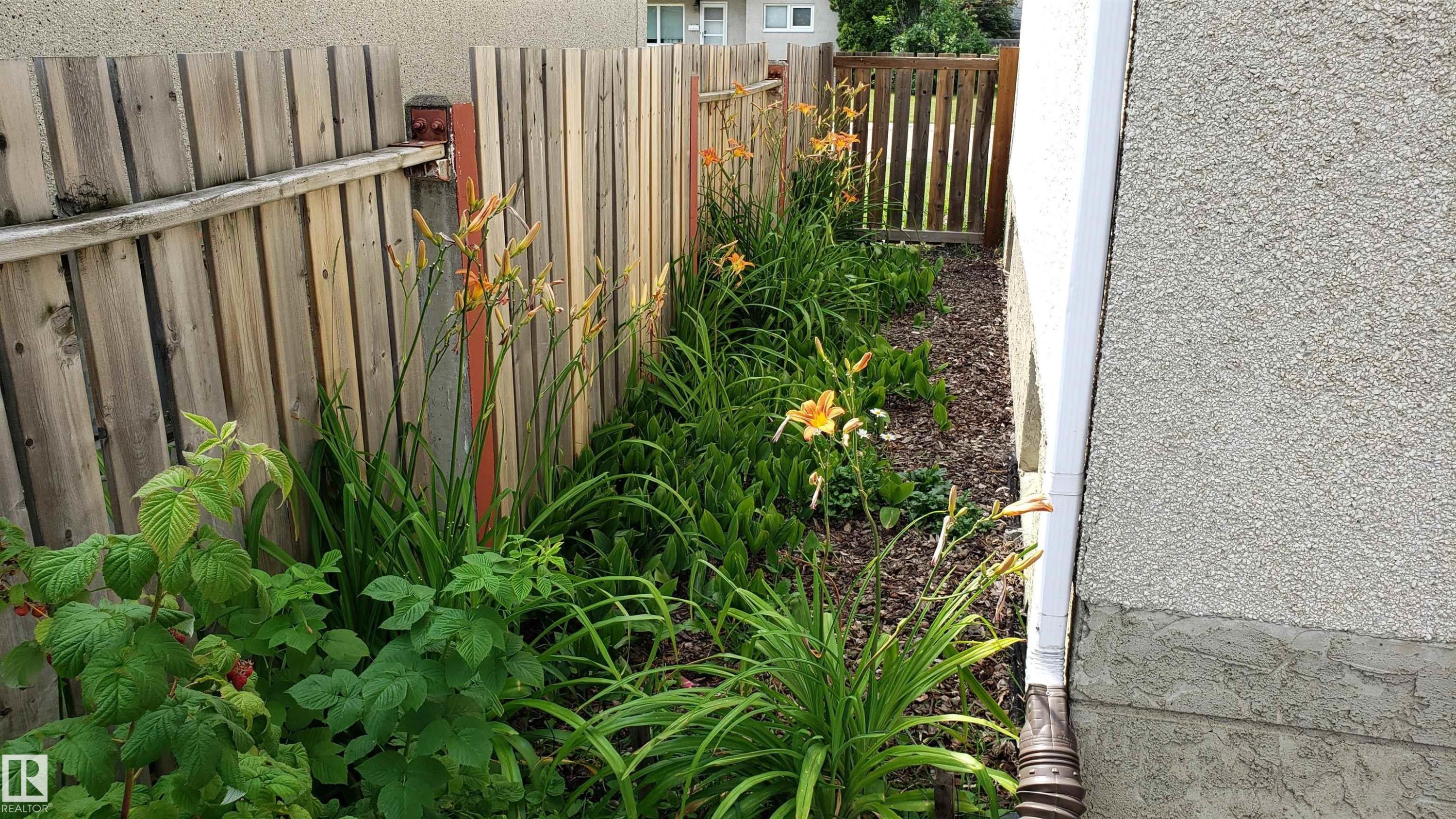 Landscaped side yard featuring a wood fence, mature plantings, and a gravel pathway - 13331 64 Street Nw, Edmonton, AB - Outdoor