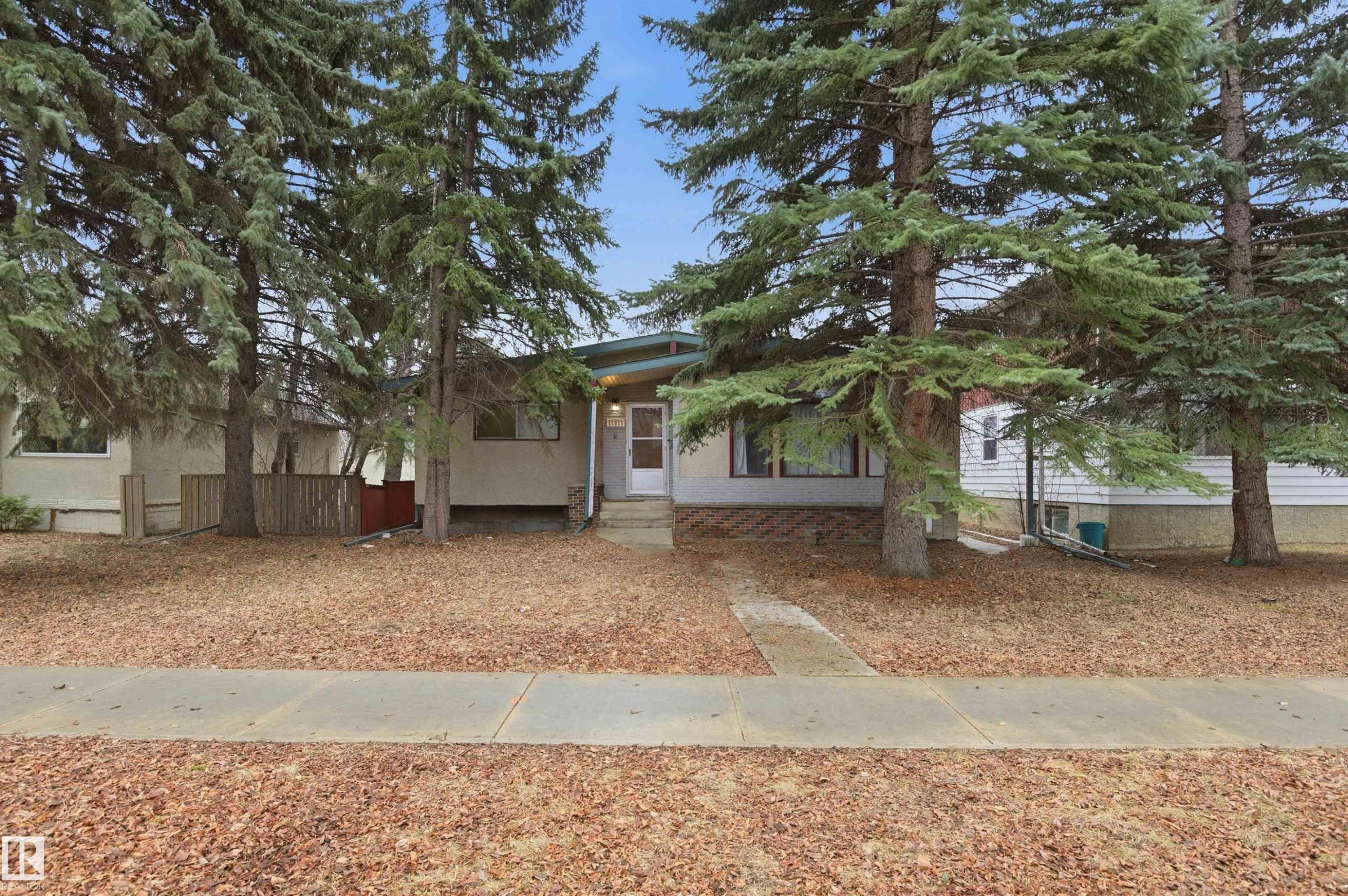 Mid-century ranch-style exterior featuring a covered entry porch, multiple mature evergreen trees, a concrete walkway, and a spacious front yard - 11211 77 Avenue, Edmonton, AB - Outdoor