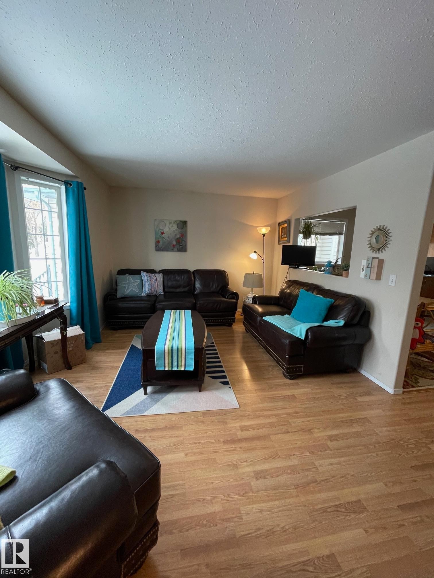 12005 95A Street, Edmonton, AB - Indoor Photo Showing Living Room