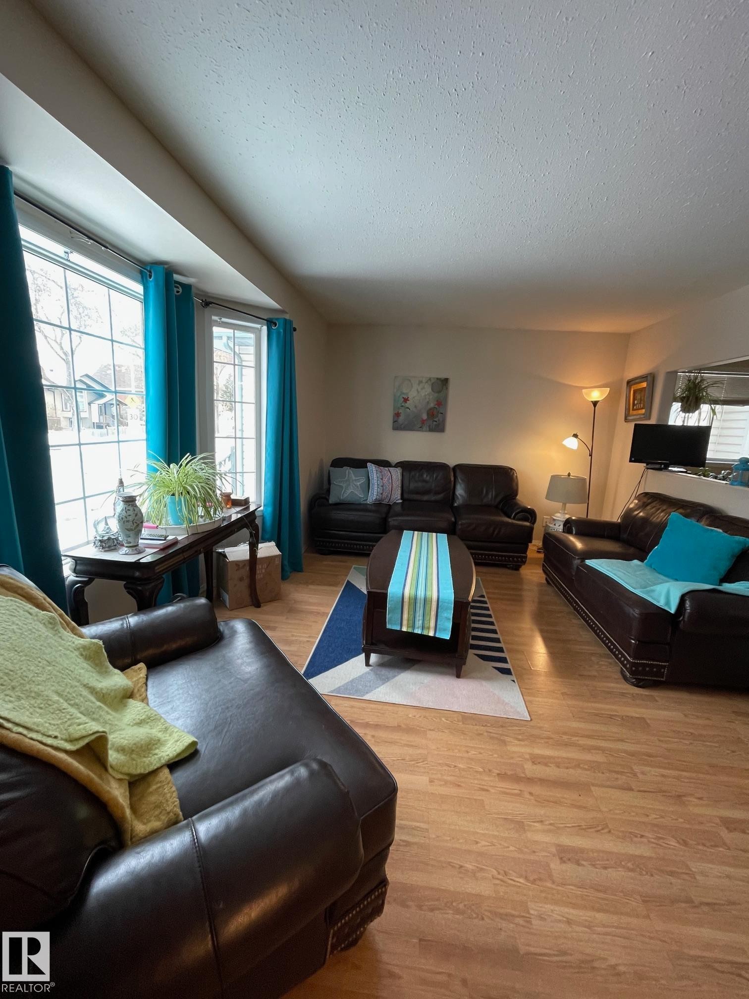 12005 95A Street, Edmonton, AB - Indoor Photo Showing Living Room