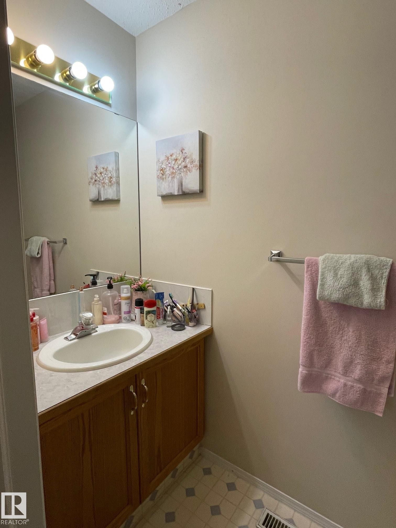 12005 95A Street, Edmonton, AB - Indoor Photo Showing Bathroom