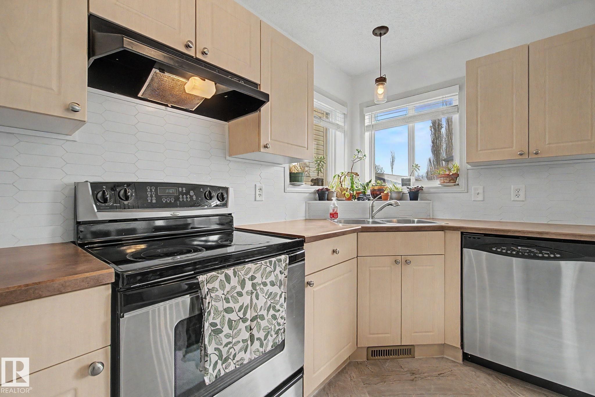 9111 213 Street, Edmonton, AB - Indoor Photo Showing Kitchen With Double Sink