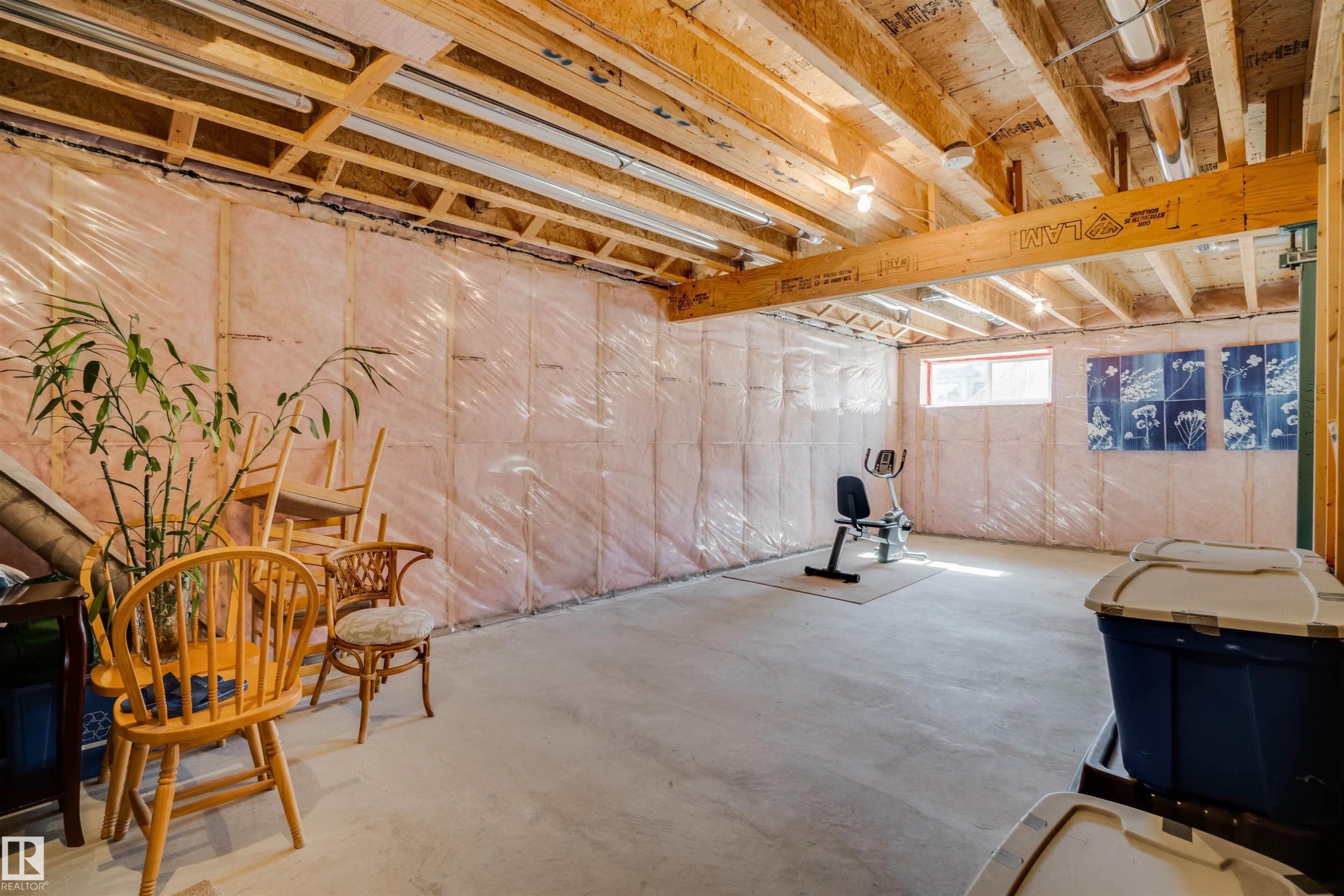 3843 Agar Green, Edmonton, AB - Indoor Photo Showing Basement