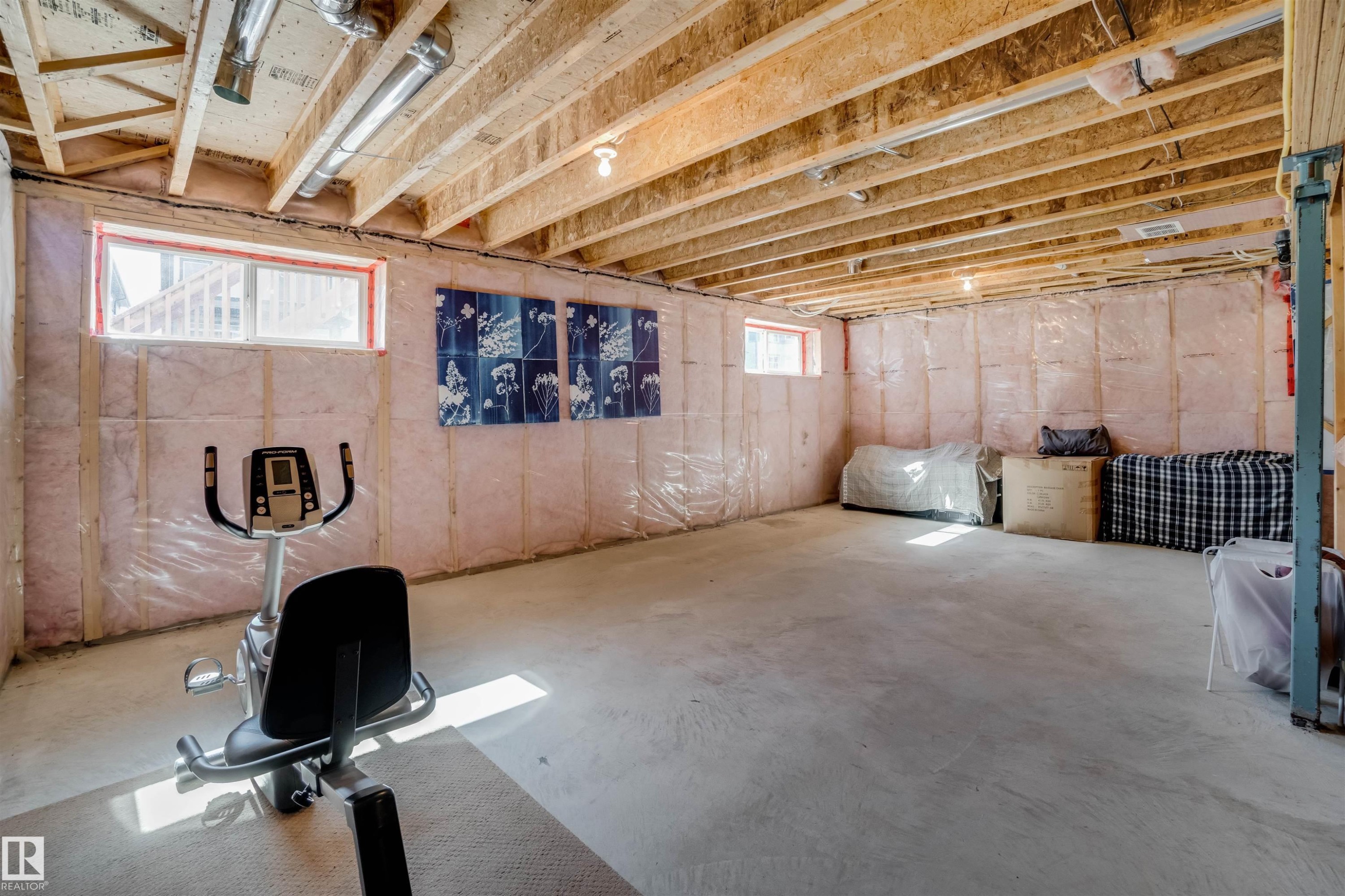3843 Agar Green, Edmonton, AB - Indoor Photo Showing Basement